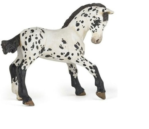 Papo Fohlen Black Appaloosa