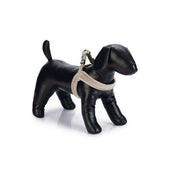 Designed by Lotte Hundegeschirr Velura Samt Grau