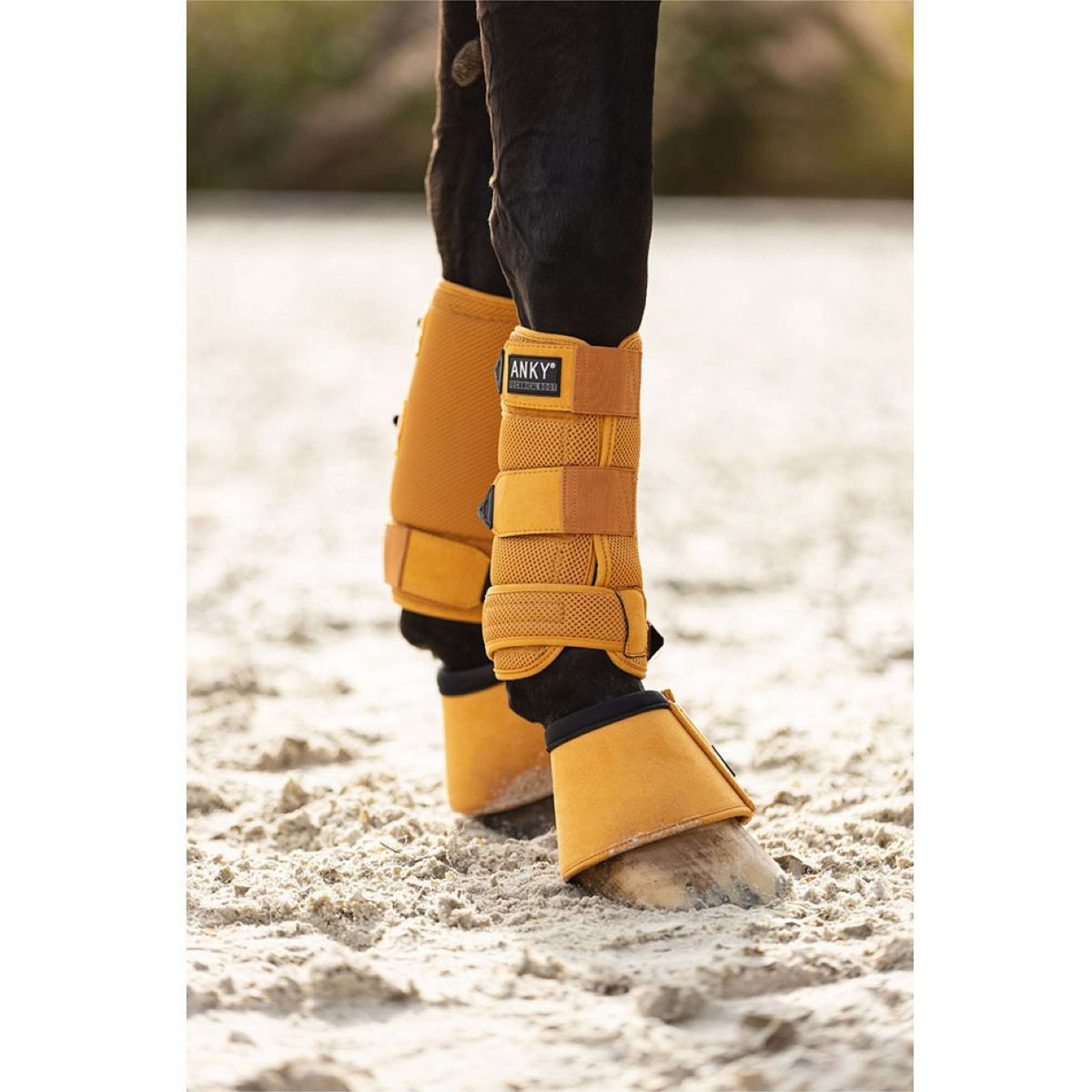 ANKY Hufglocken ATB242008 Spruce Yellow