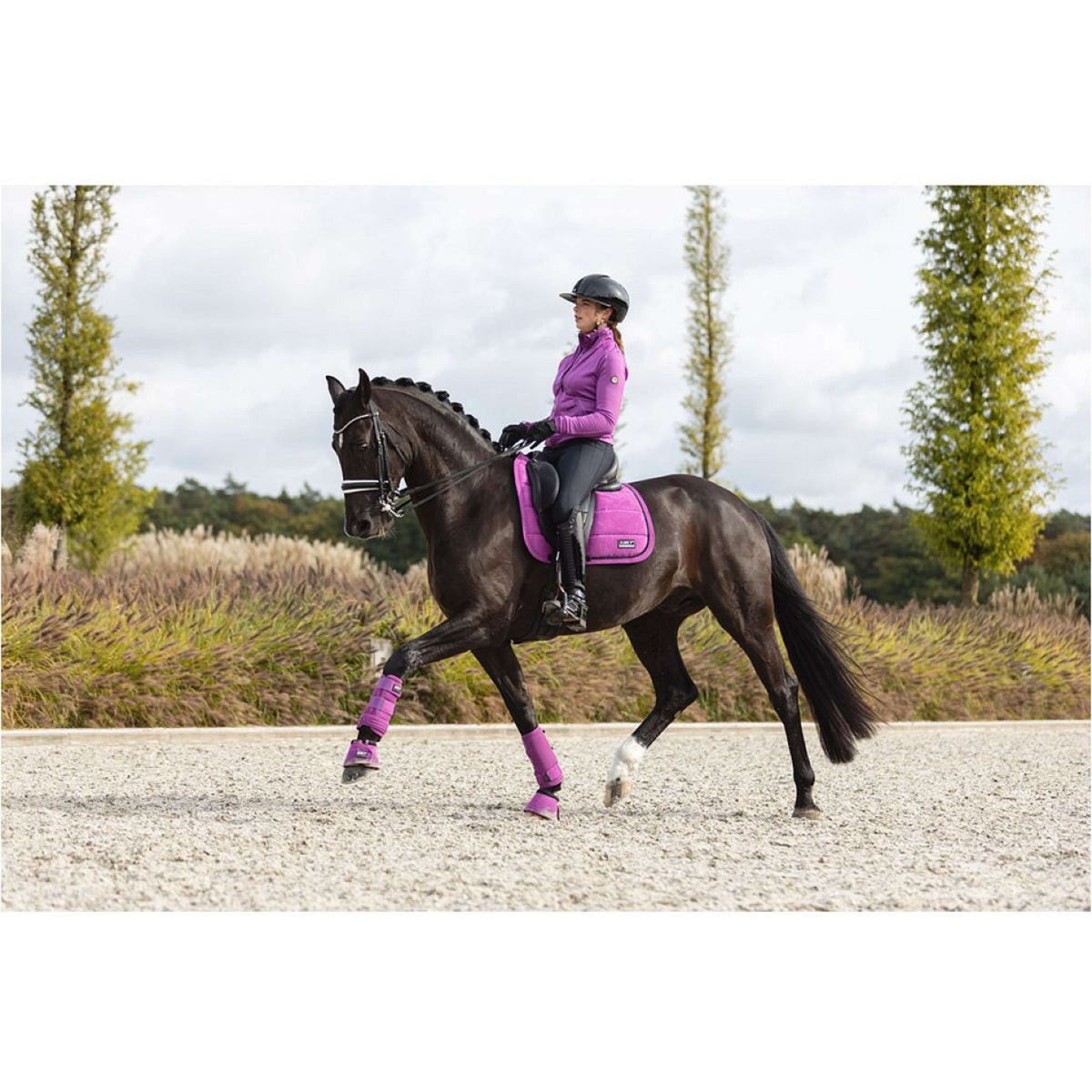 ANKY Hufglocken ATB242008 Striking Purple