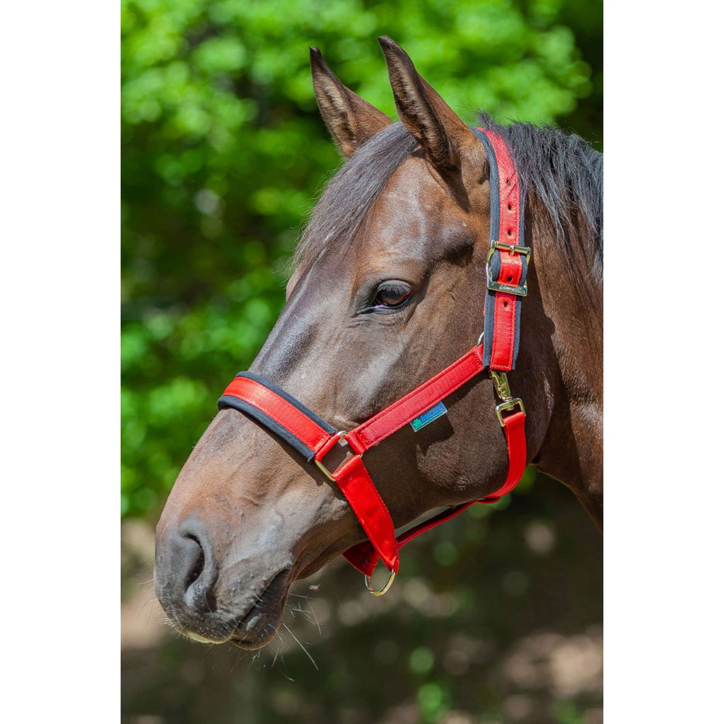 Bucas Halfter Comfort Rot/ Schwarz