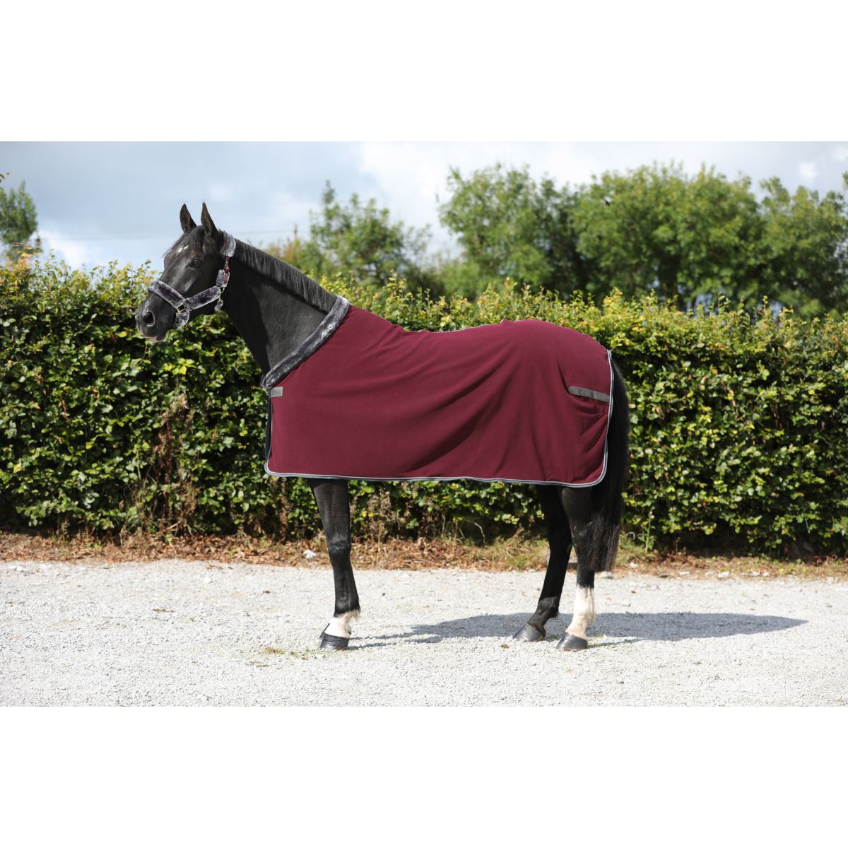 Bucas Fleecedecke Show-Line 400 Burgunderrot