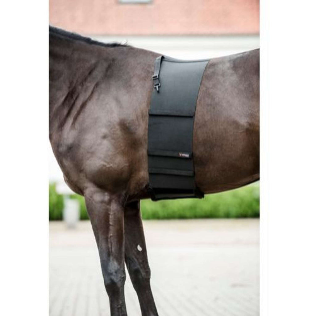 Catago Body Shield Schwarz