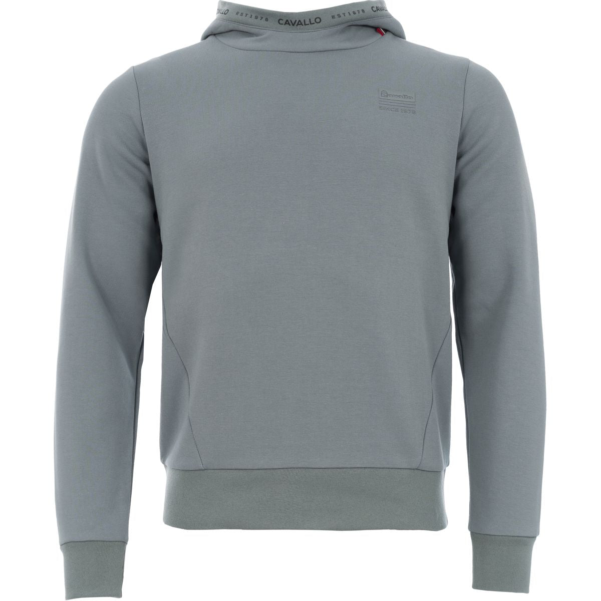 Cavallo Hoodie Ehan Herren Dusty Mint