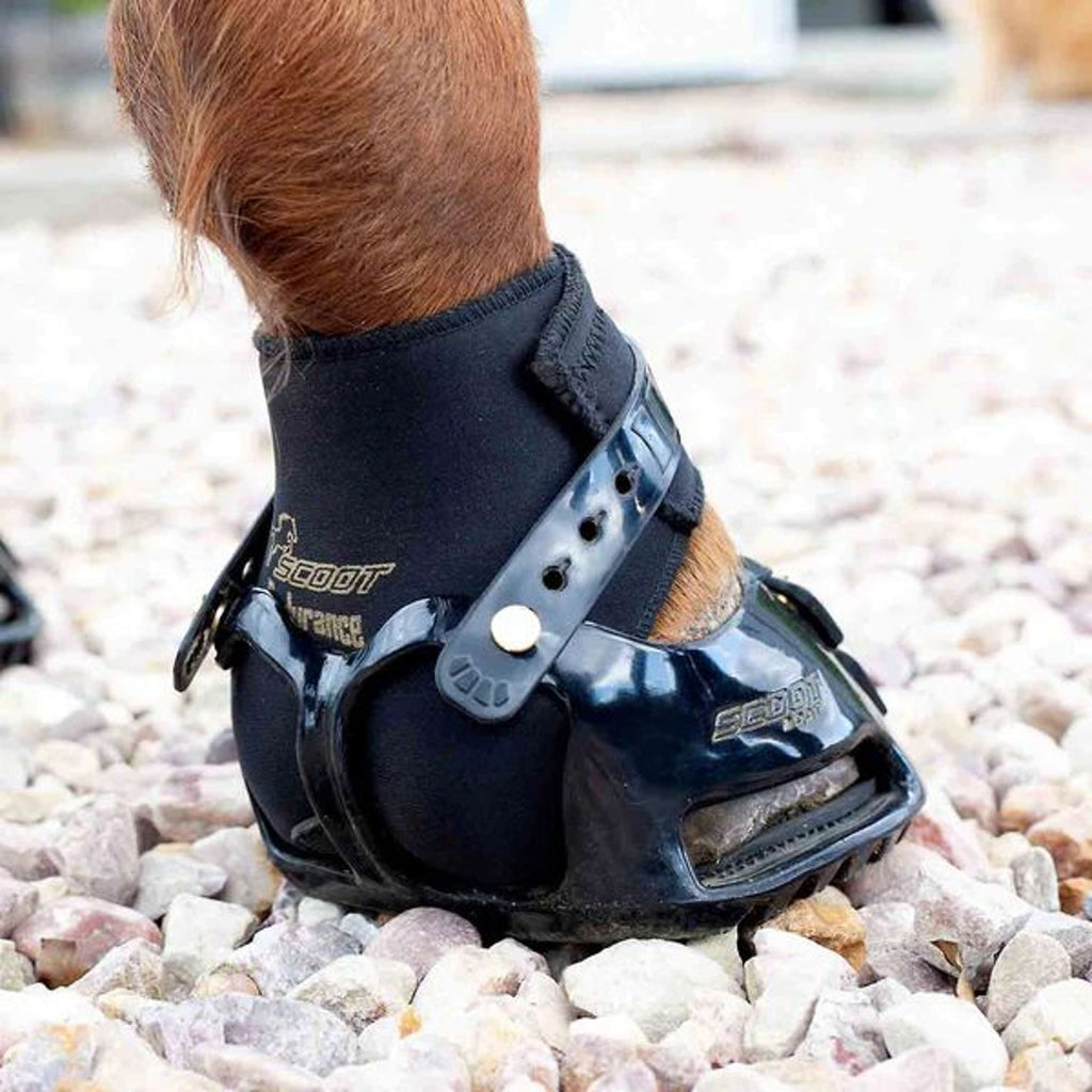 Scoot Boot Endurance Gaiter Schwarz