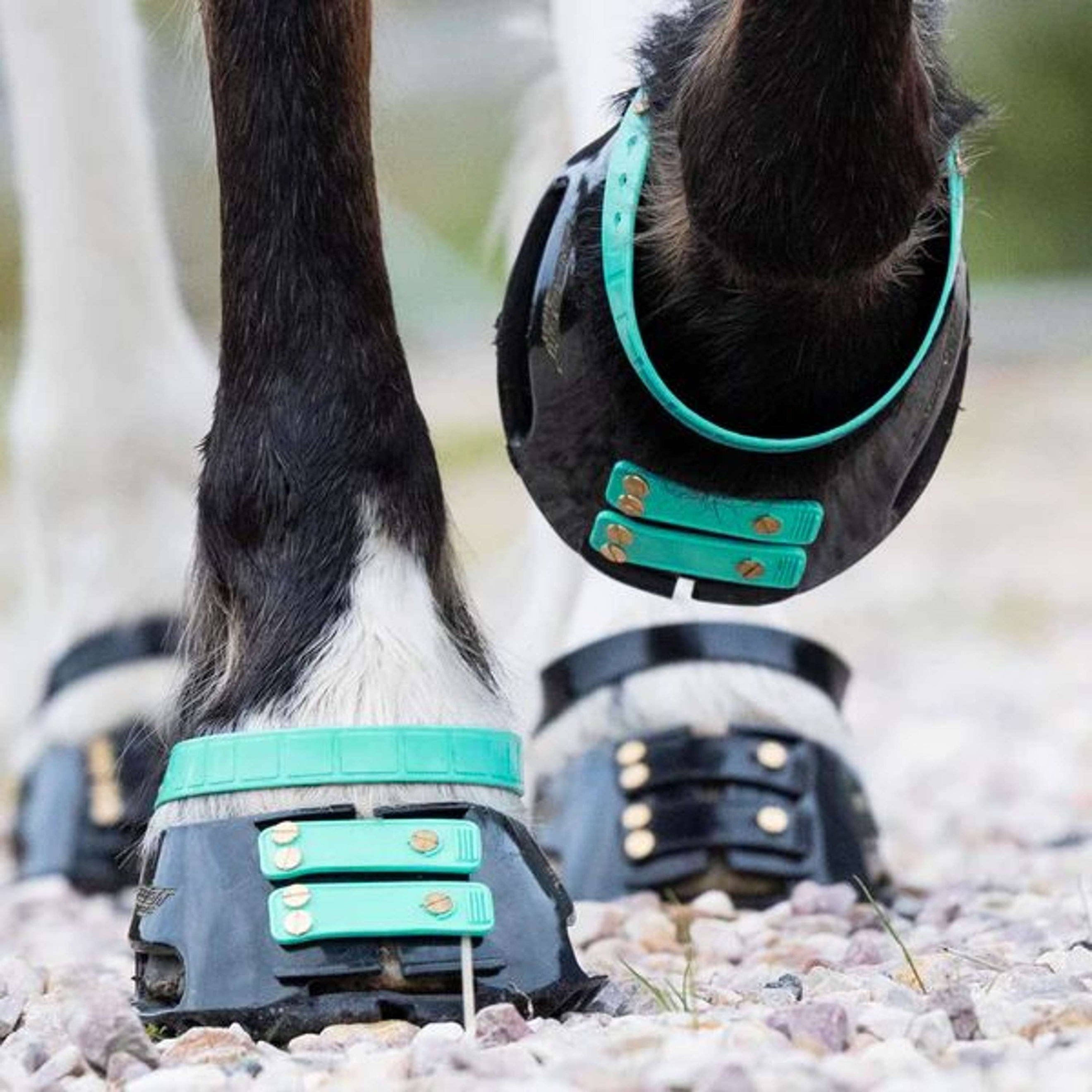 Scoot Boot Pastern Strap Marine Scoot Boot Pastern Strap Marine