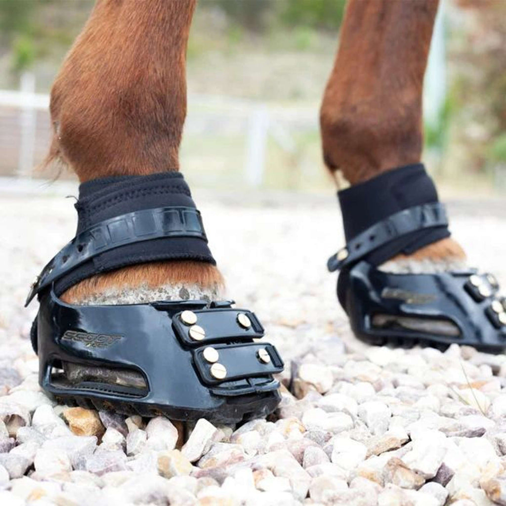Scoot Boot Endurance Gaiter Schwarz