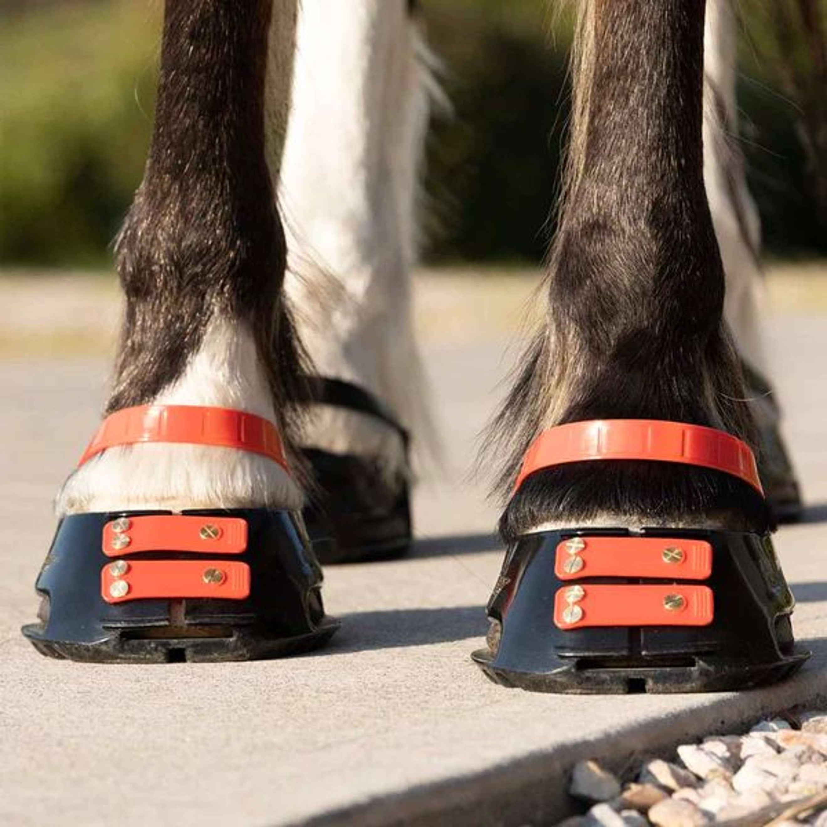 Scoot Boot Front Strap Hibiscus Scoot Boot Front Strap Hibiscus