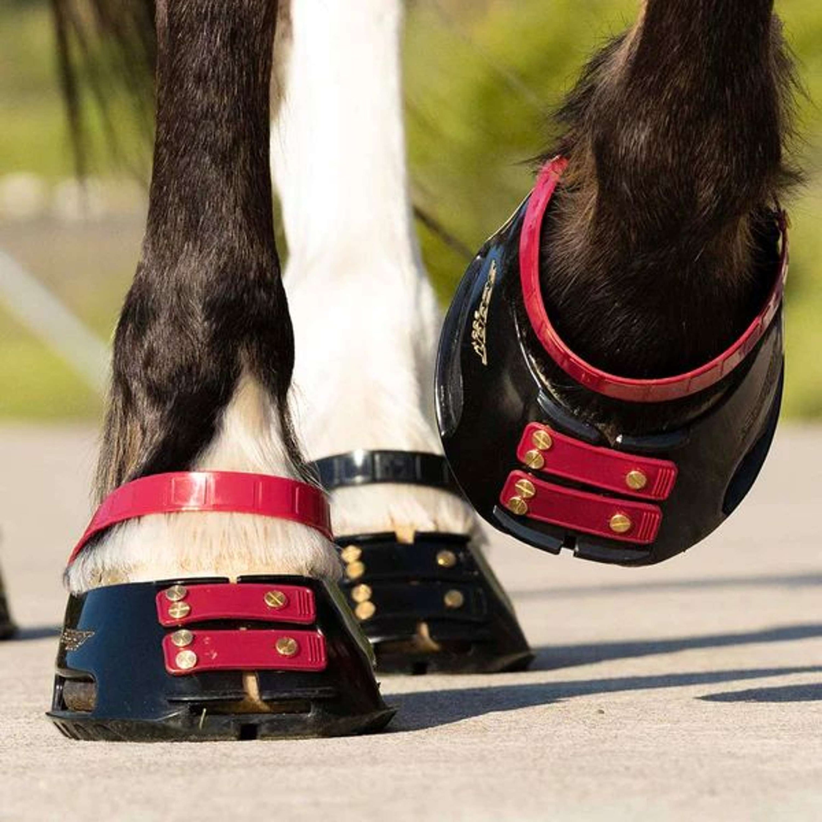 Scoot Boot Front Strap Mulberry Scoot Boot Front Strap Mulberry