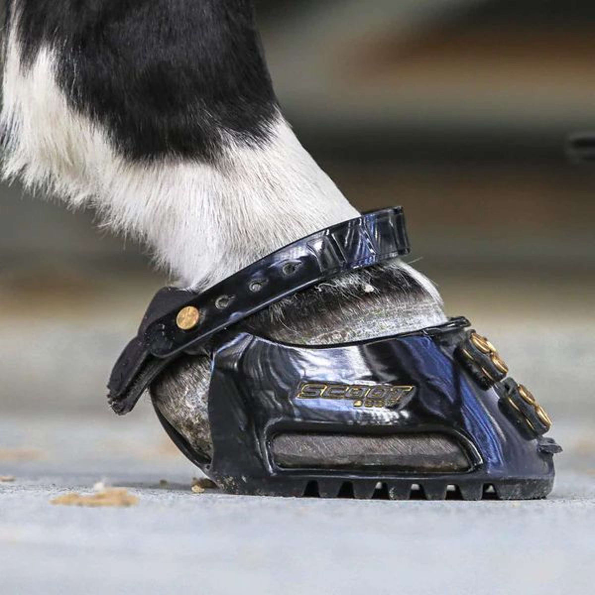 Scoot Boot Hufschuh Regular Single Schwarz