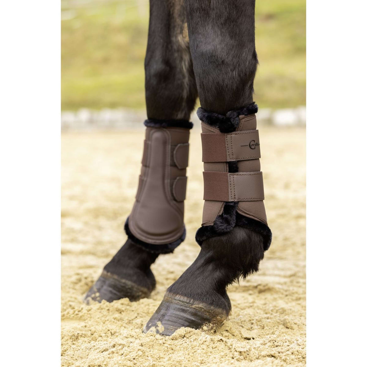 Covalliero Dressage Boots AW24 Kaffee