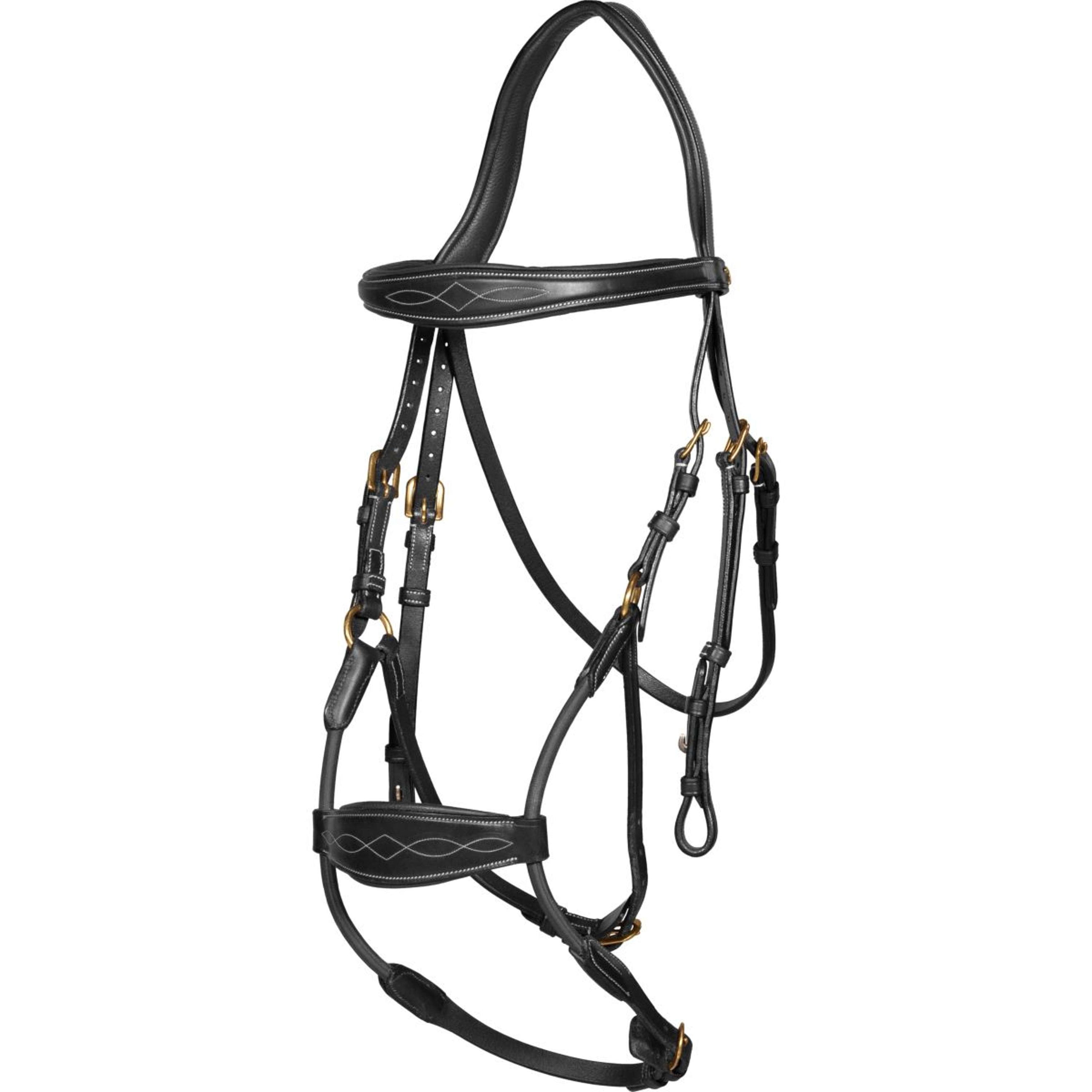 Dyon Zaum Elastic Hybrid Schwarz