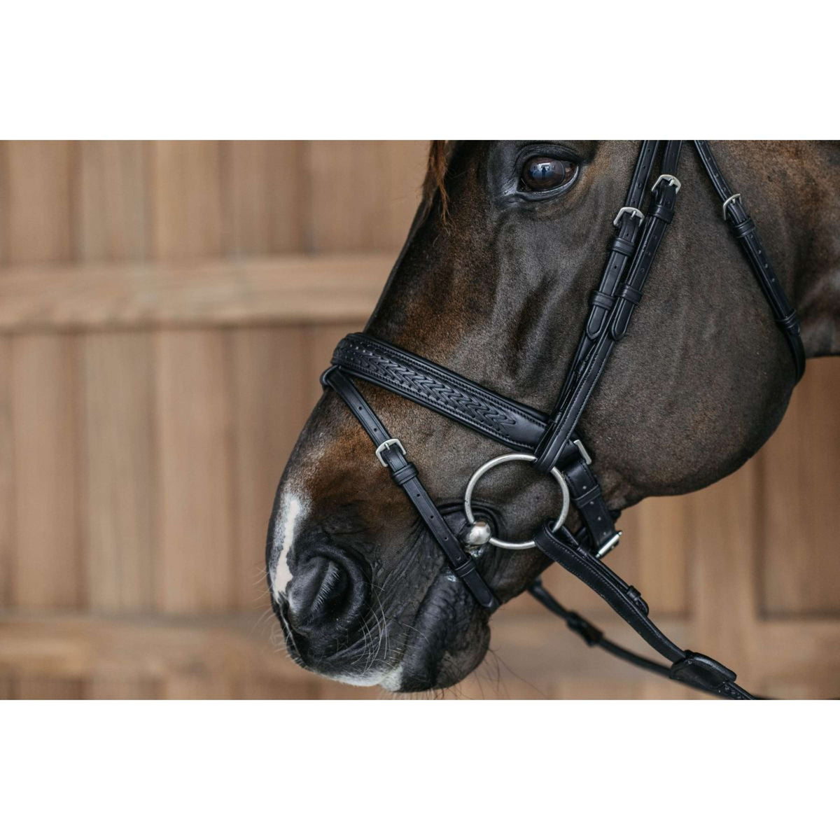 Dyon Zaum Flash Pull-Back Geflochten Schwarz