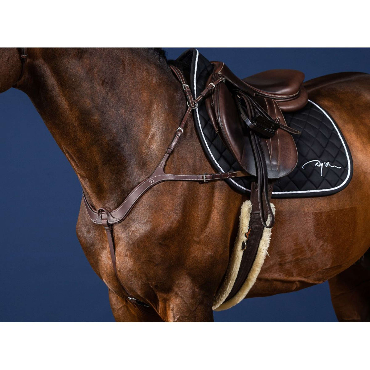 Dyon Brustgeschirr Anatomical Braun/Silber