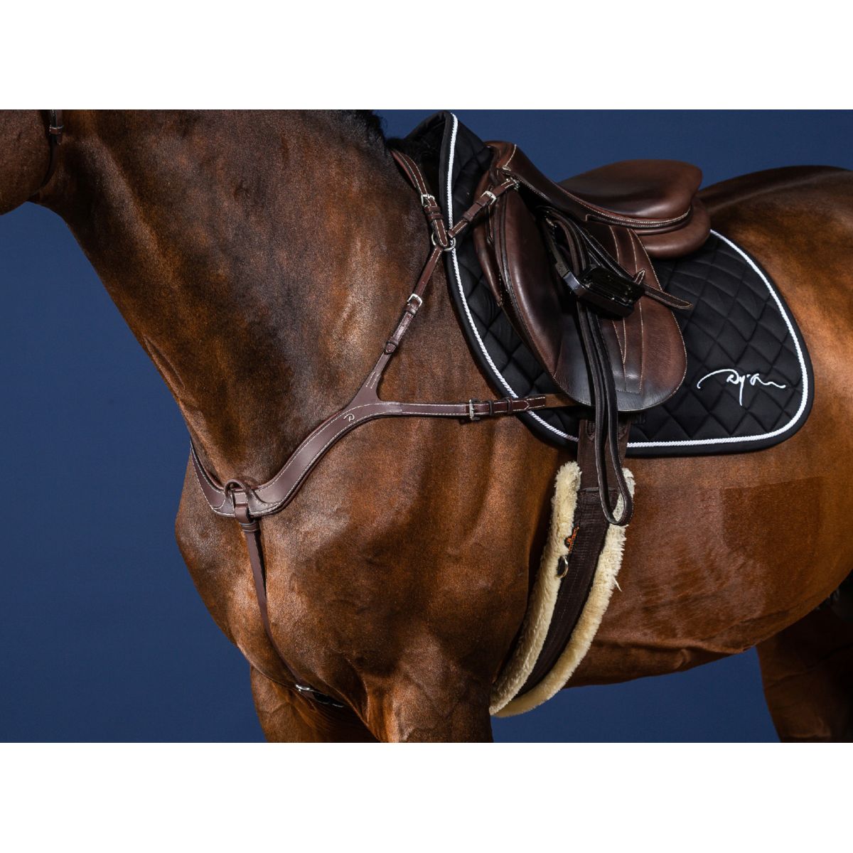 Dyon Brustgeschirr Anatomical Braun/Silber