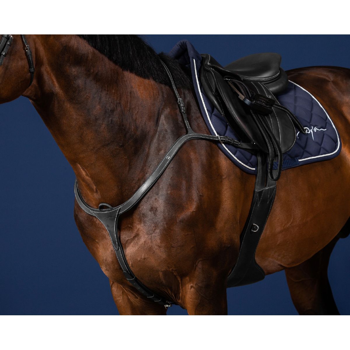 Dyon Brustgeschirr Long Bridge Schwarz/Silber