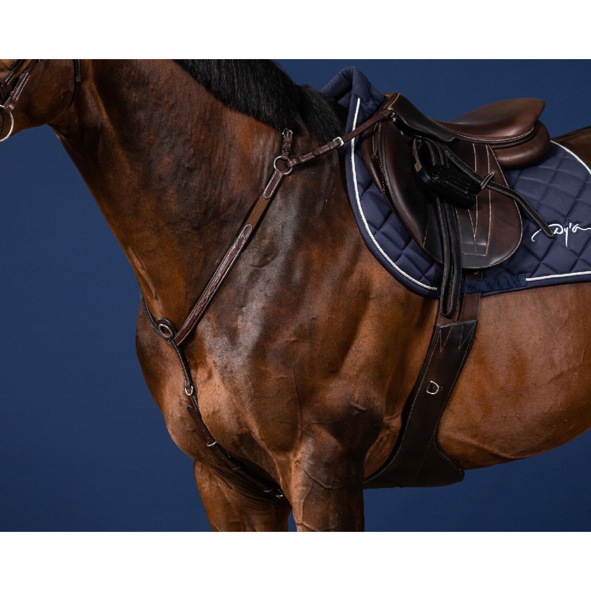 Dyon Brustgeschirr Bridge Braun