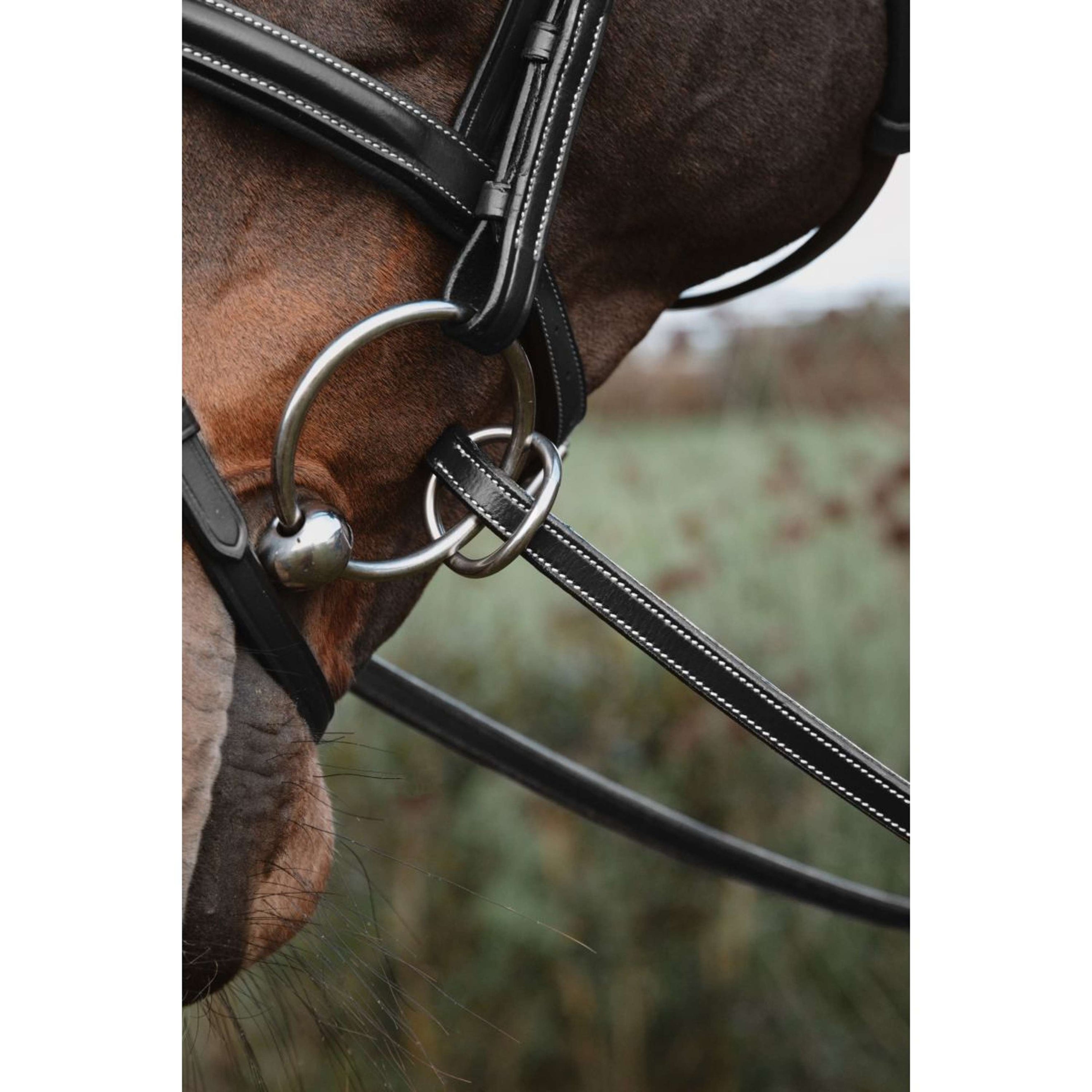 Dyon Zügel 1/2 7 Stops Ringverschluss Schwarz Dyon Zügel 1/2 7 Stops Ringverschluss Schwarz