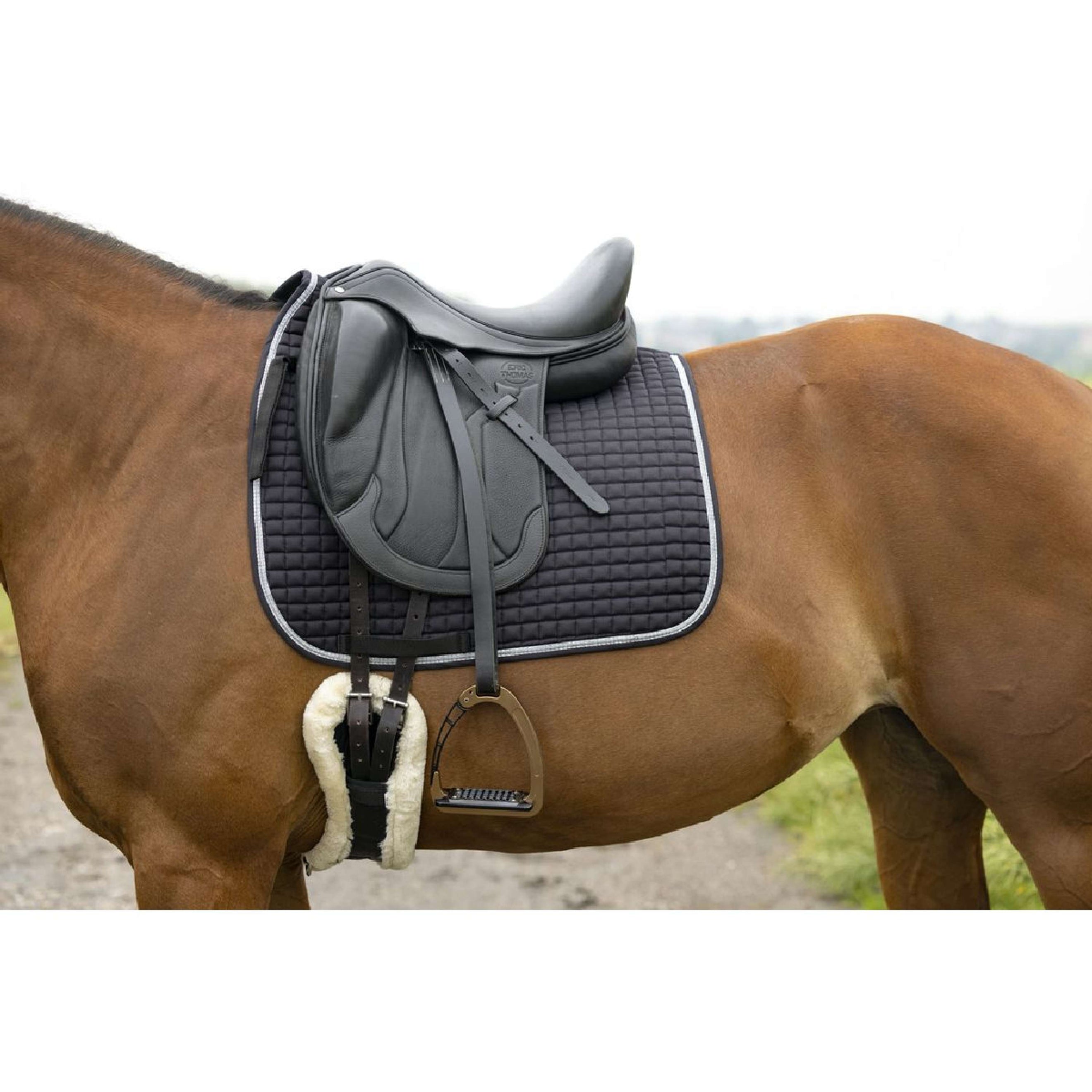 Riding World Schabracke Girly Dressur Schwarz Riding World Schabracke Girly Dressur Schwarz