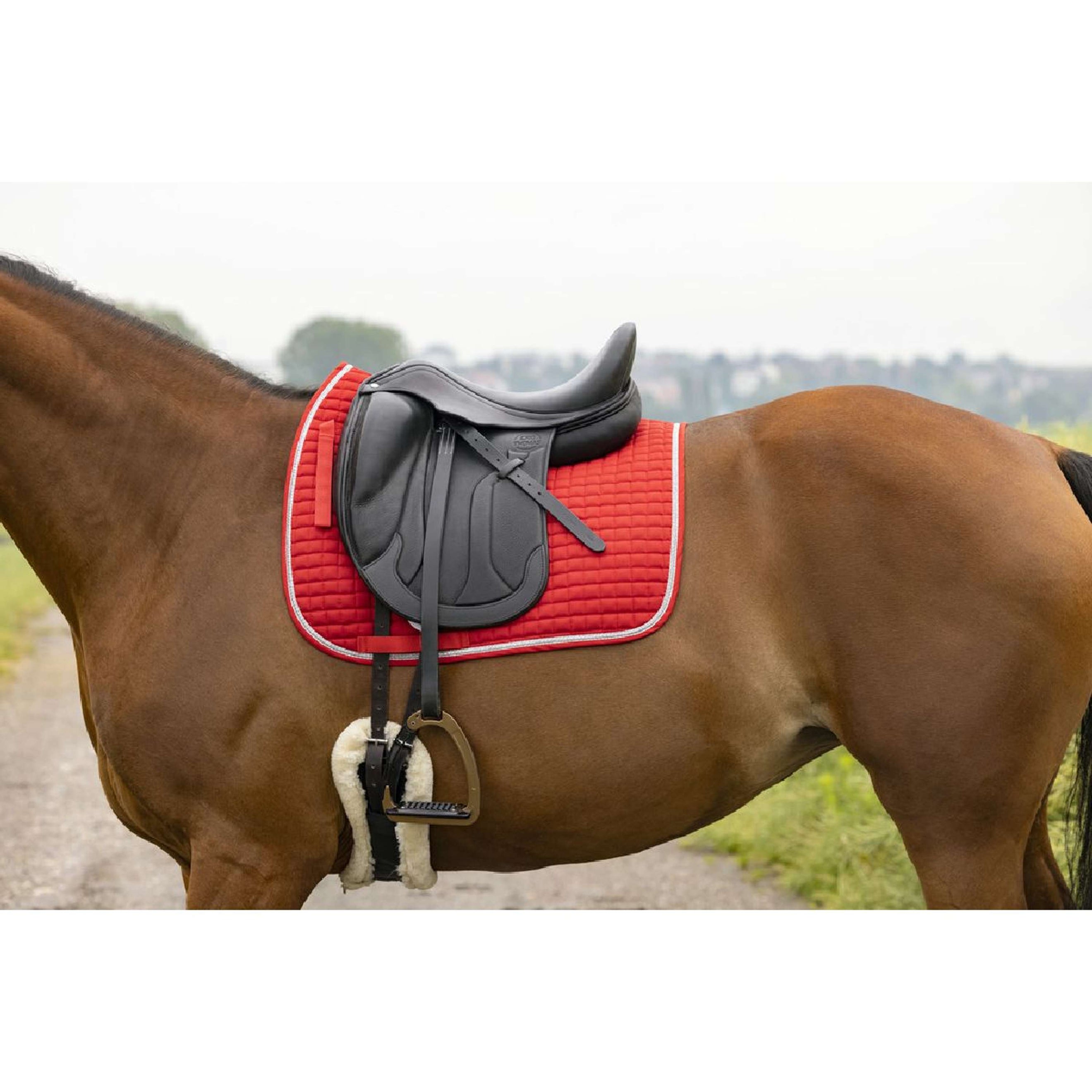 Riding World Schabracke Girly Dressur Rot Riding World Schabracke Girly Dressur Rot