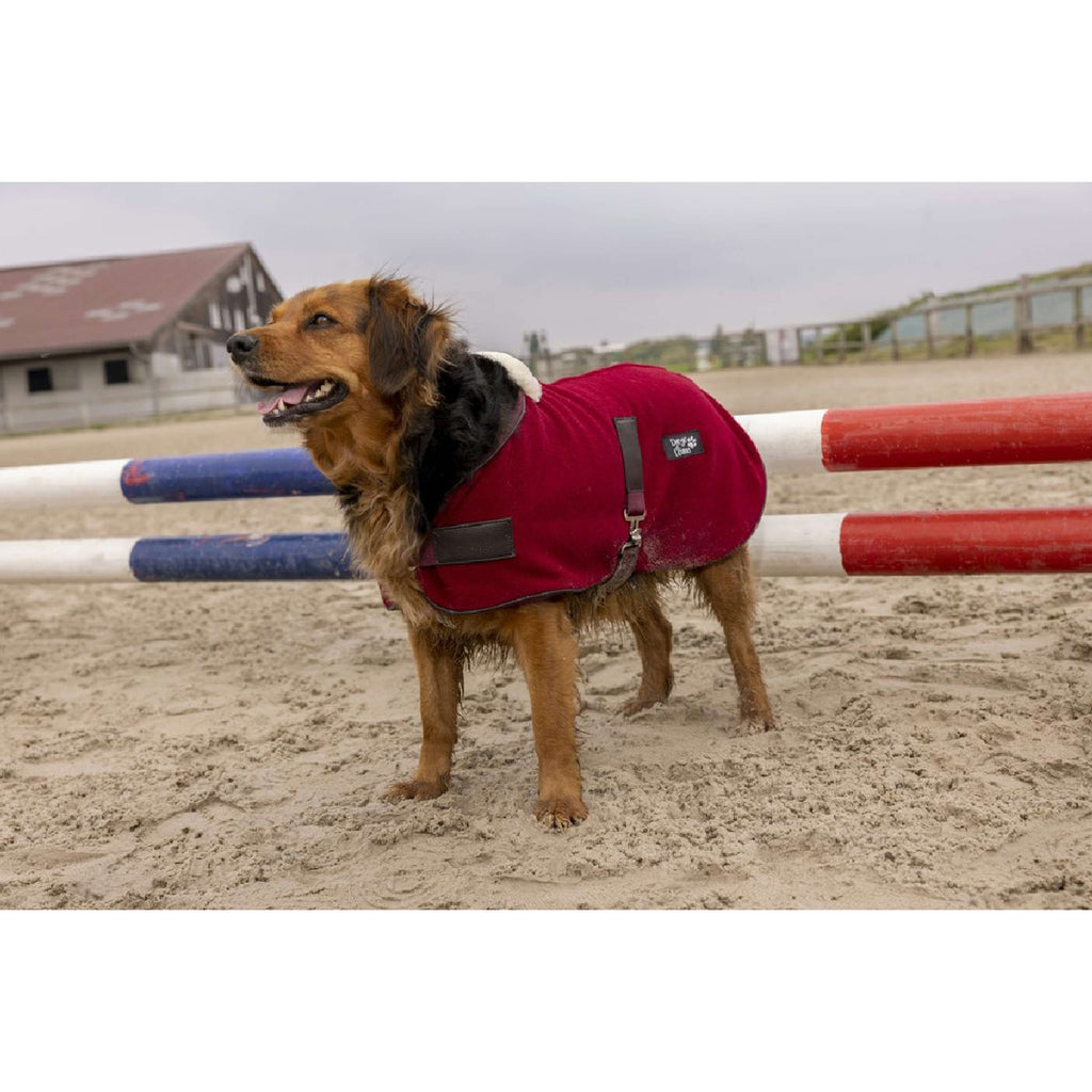Diego & Louna Hundedecke Polar Bordeaux