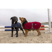 Diego & Louna Hundedecke Polar Navy