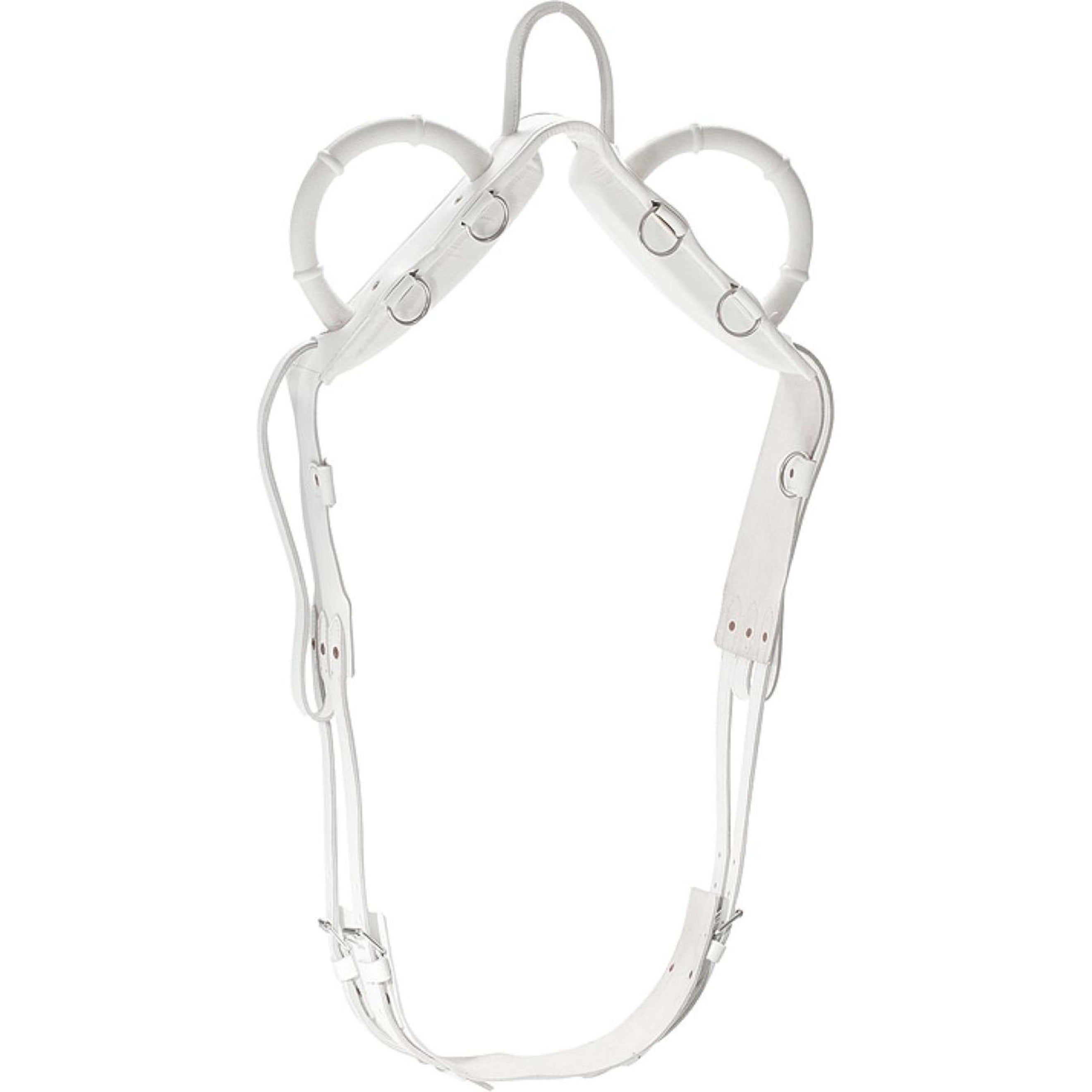 Norton Voltigiergurt Weiß Norton Voltigiergurt Weiß