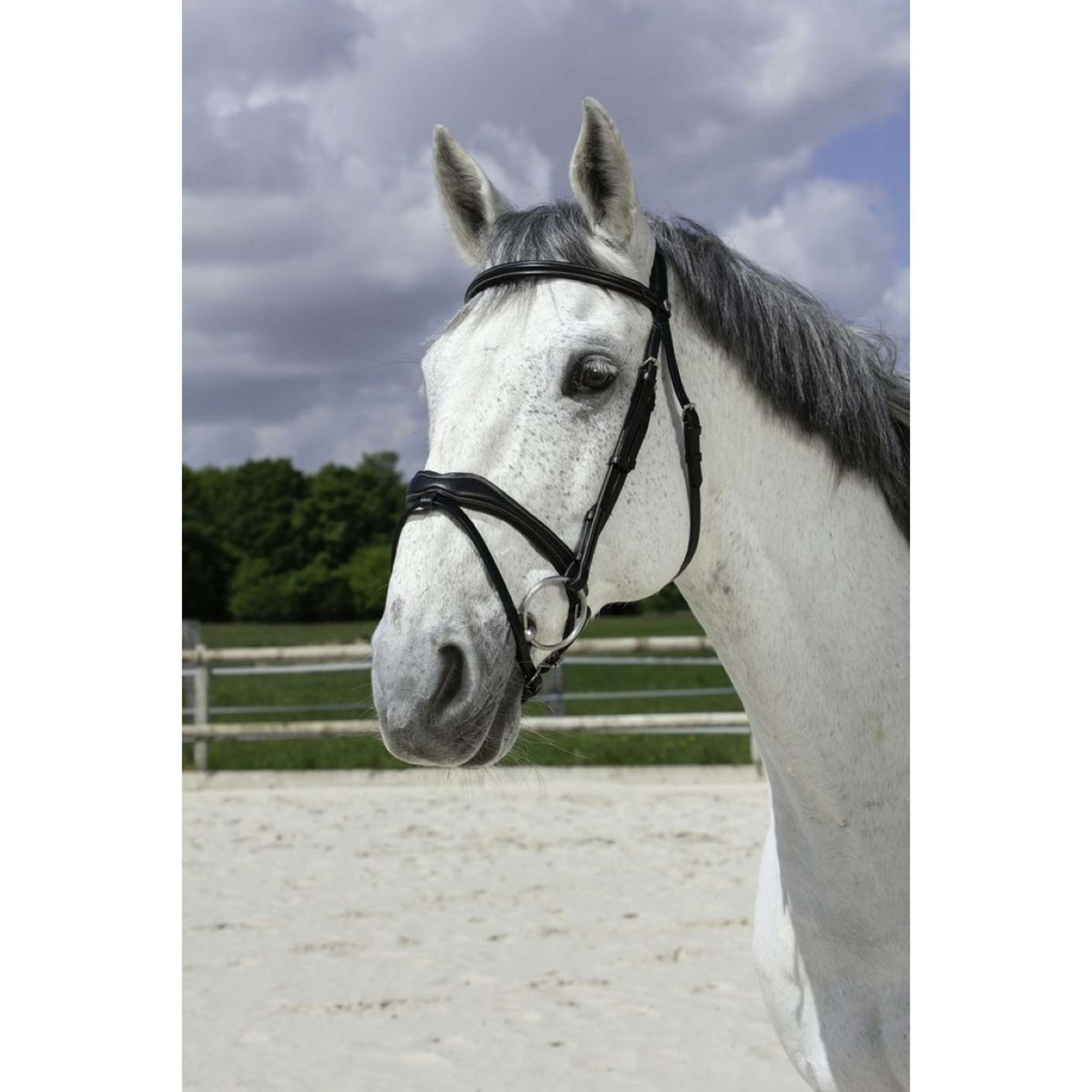 Norton Trense Pro Vague Schwarz Norton Trense Pro Vague Schwarz