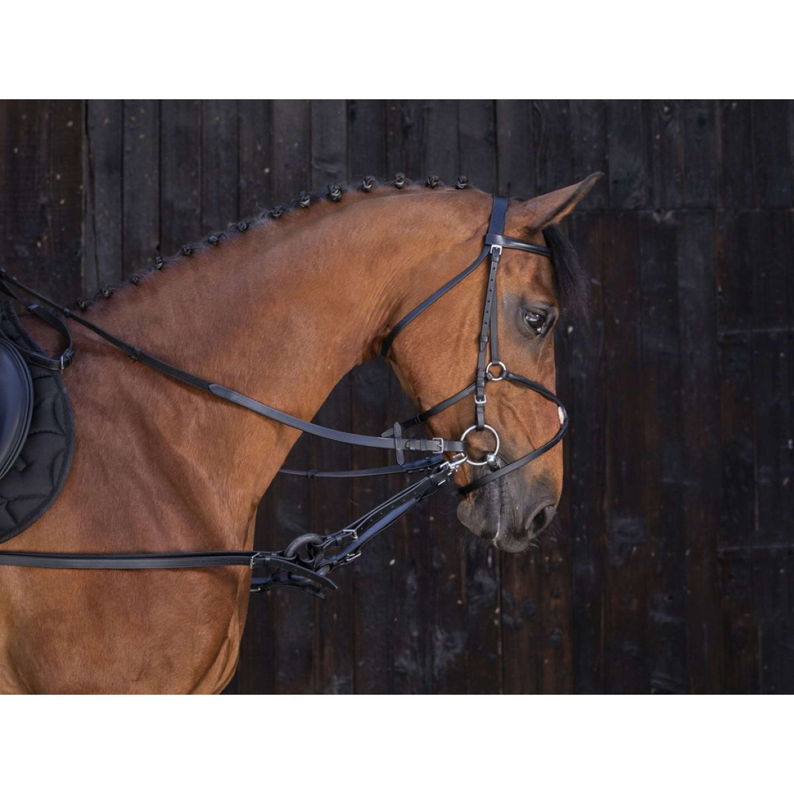 Riding World Ausbindezügel Ring Schwarz Riding World Ausbindezügel Ring Schwarz