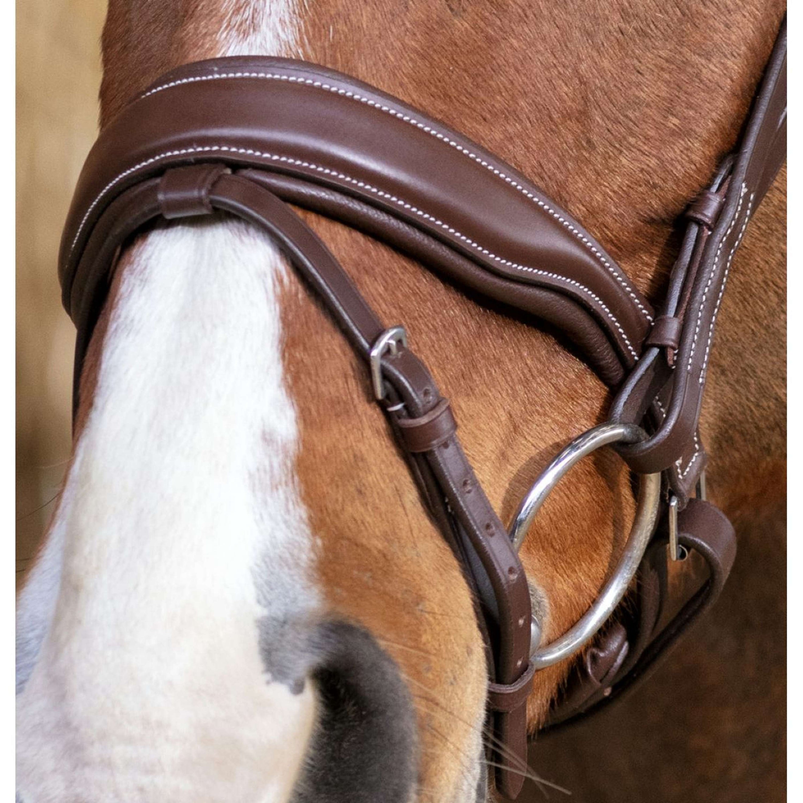 Norton Trense Pro Miss Havanna Norton Trense Pro Miss Havanna