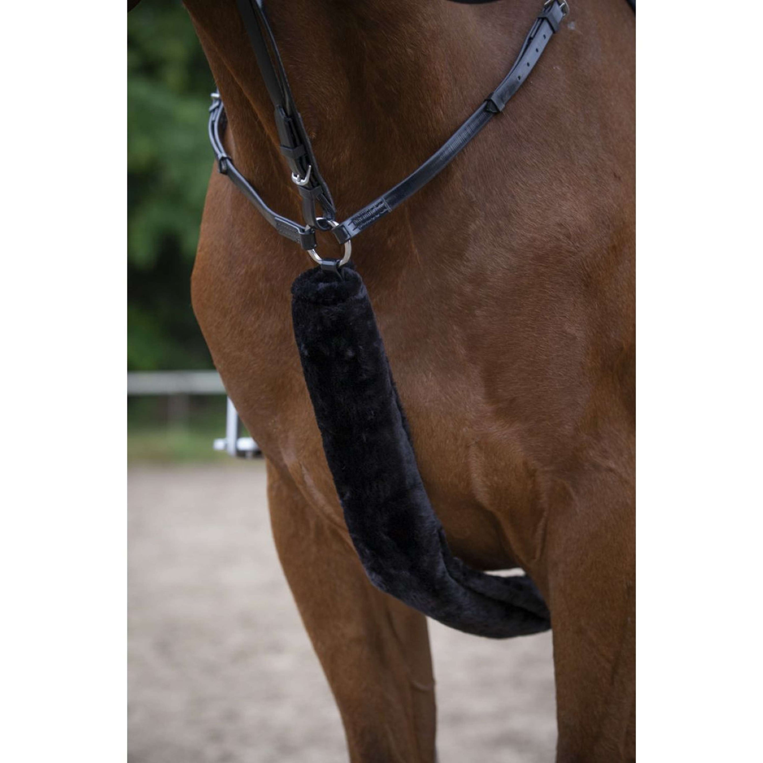 EQUITHÈME Brustgeschirr Fellschutz Teddy Schwarz EQUITHÈME Brustgeschirr Fellschutz Teddy Schwarz