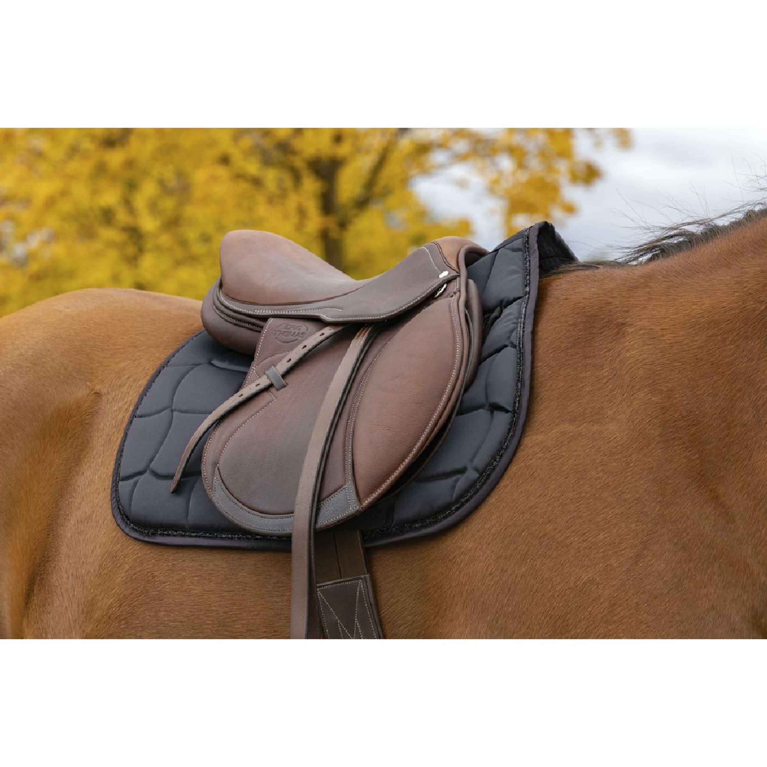 EQUITHÈME Schabracke Satin Vielseitigkeit Schwarz EQUITHÈME Schabracke Satin Vielseitigkeit Schwarz