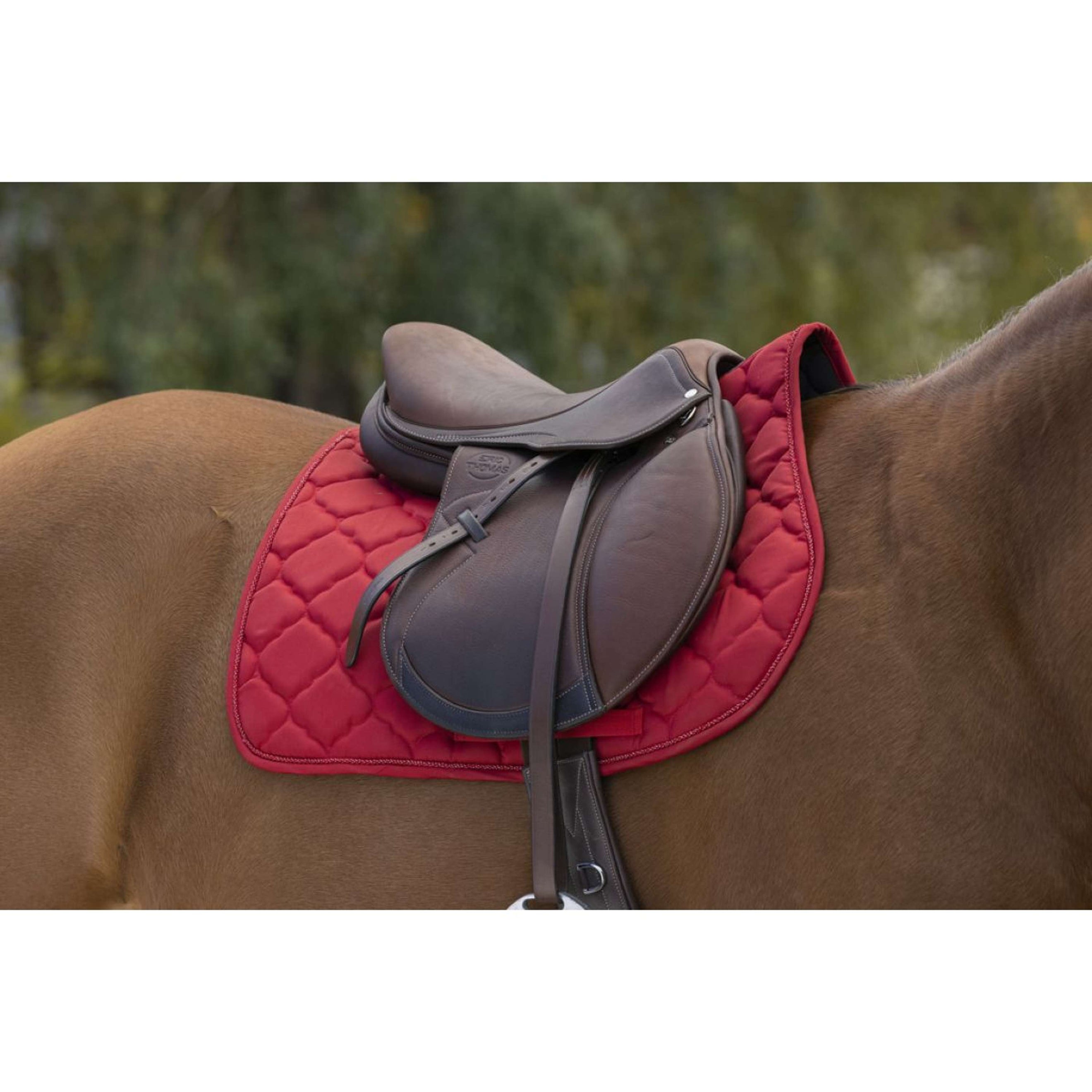 Riding World Schabracke Rope Rot Riding World Schabracke Rope Rot