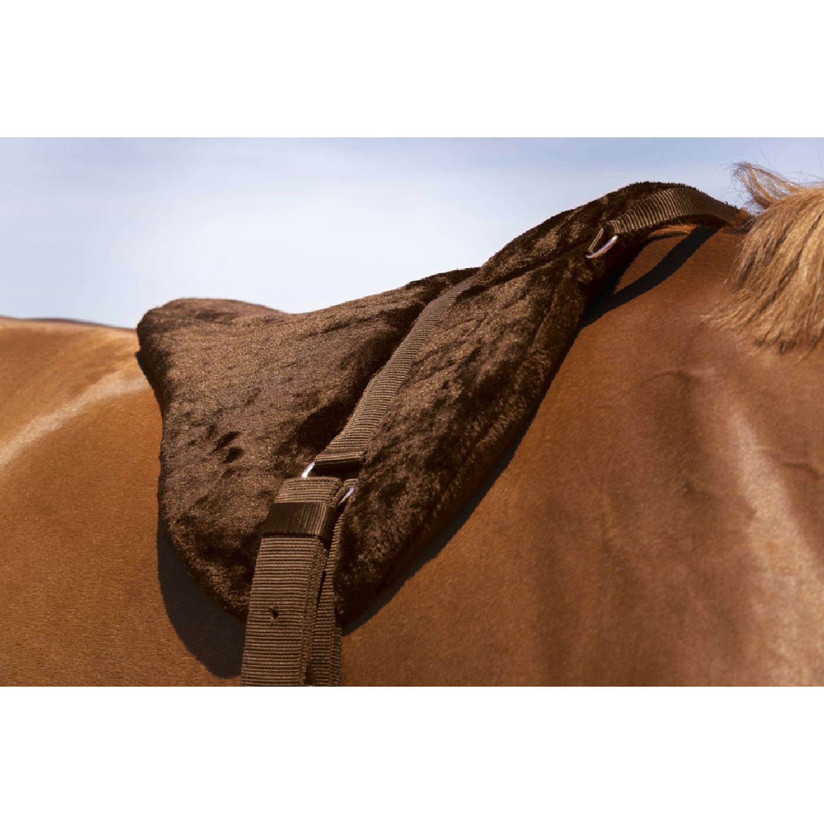 Norton Bareback Pad Confort Braun Norton Bareback Pad Confort Braun
