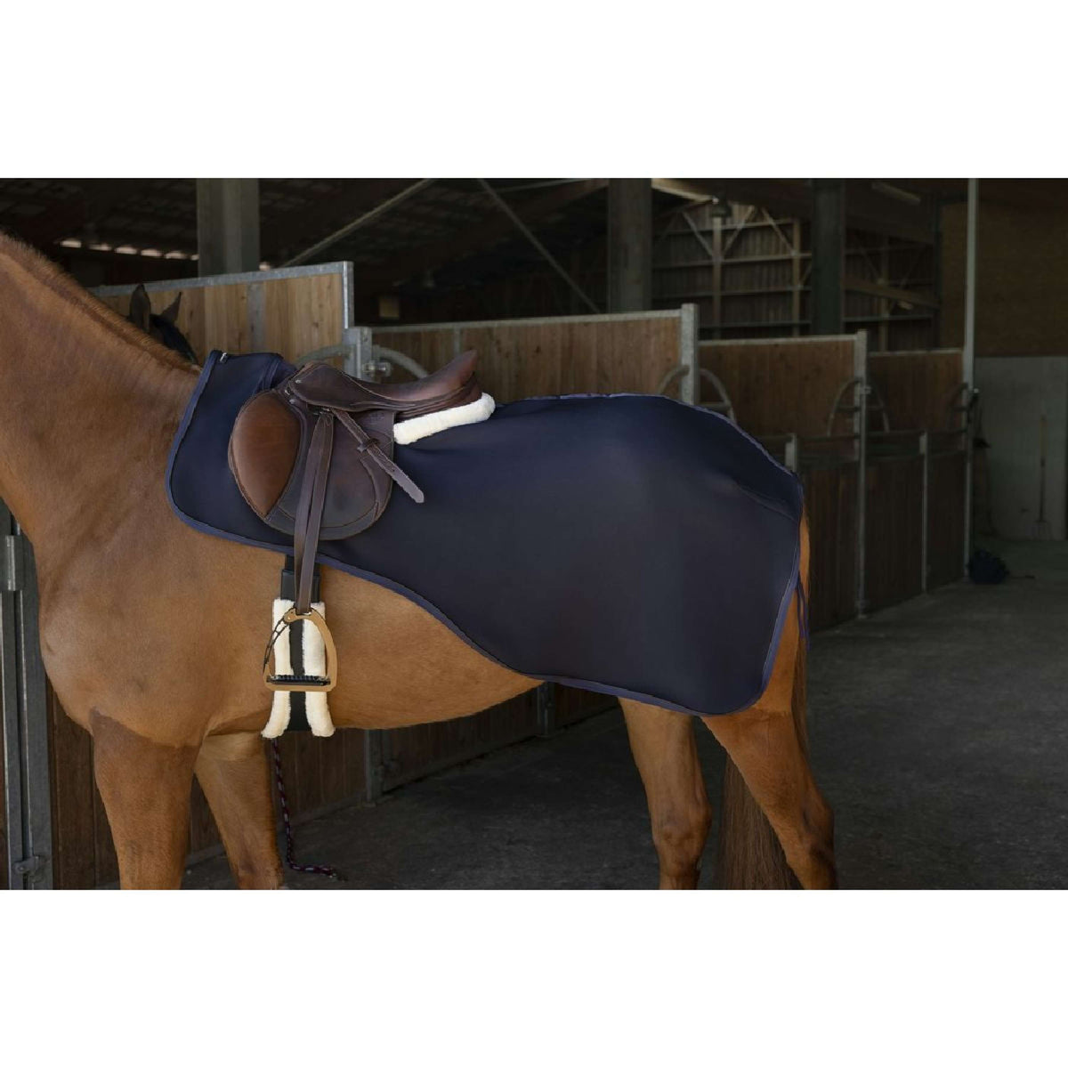 EQUITHÈME Ausreitdecke Teddy Navy