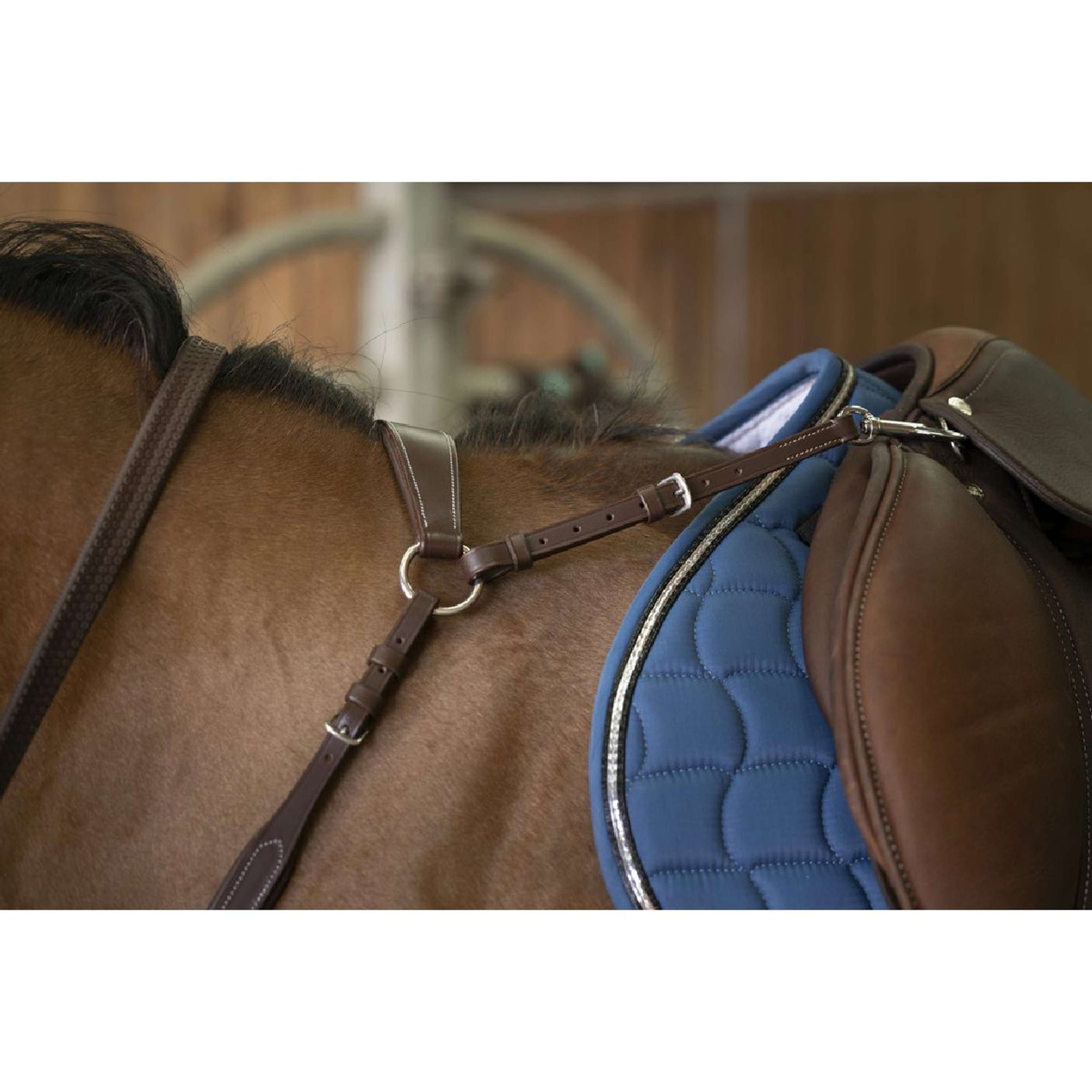 Norton Brustgeschirr Pro Confort Havanna Norton Brustgeschirr Pro Confort Havanna