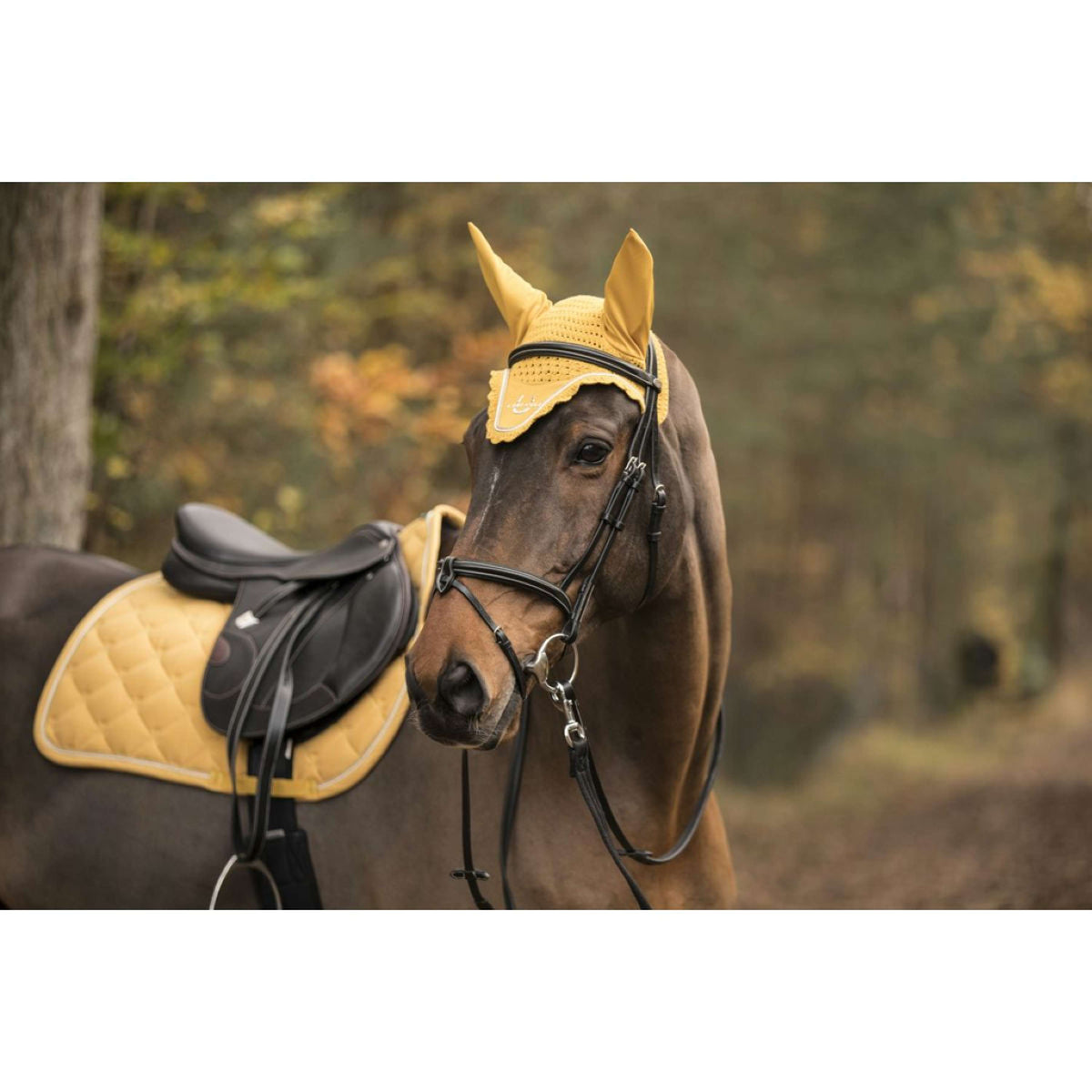 Lami-Cell Fliegenhaube LC Honey Gold