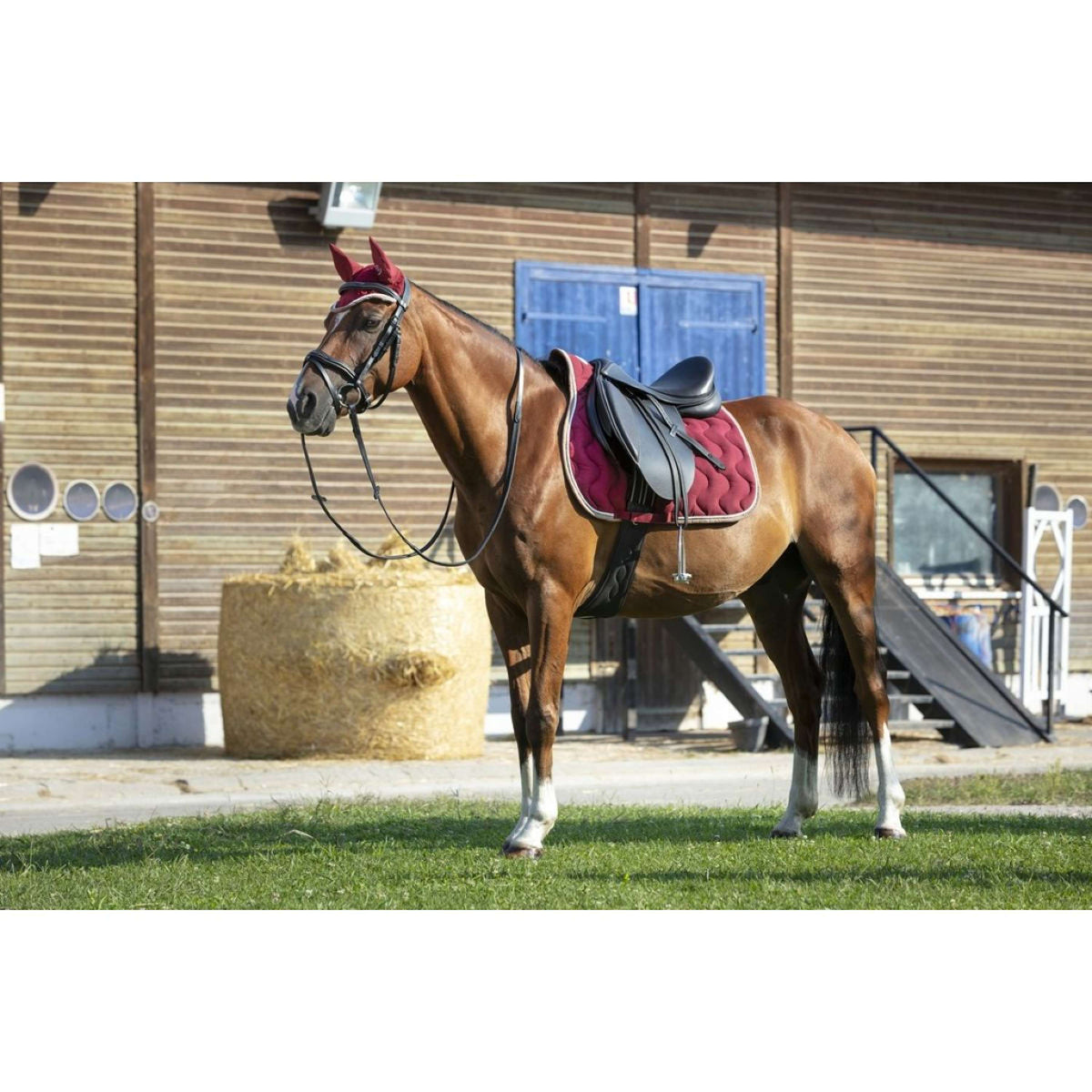 EQUITHÈME Fliegenhaube Polyfun Bordeaux/Taupe