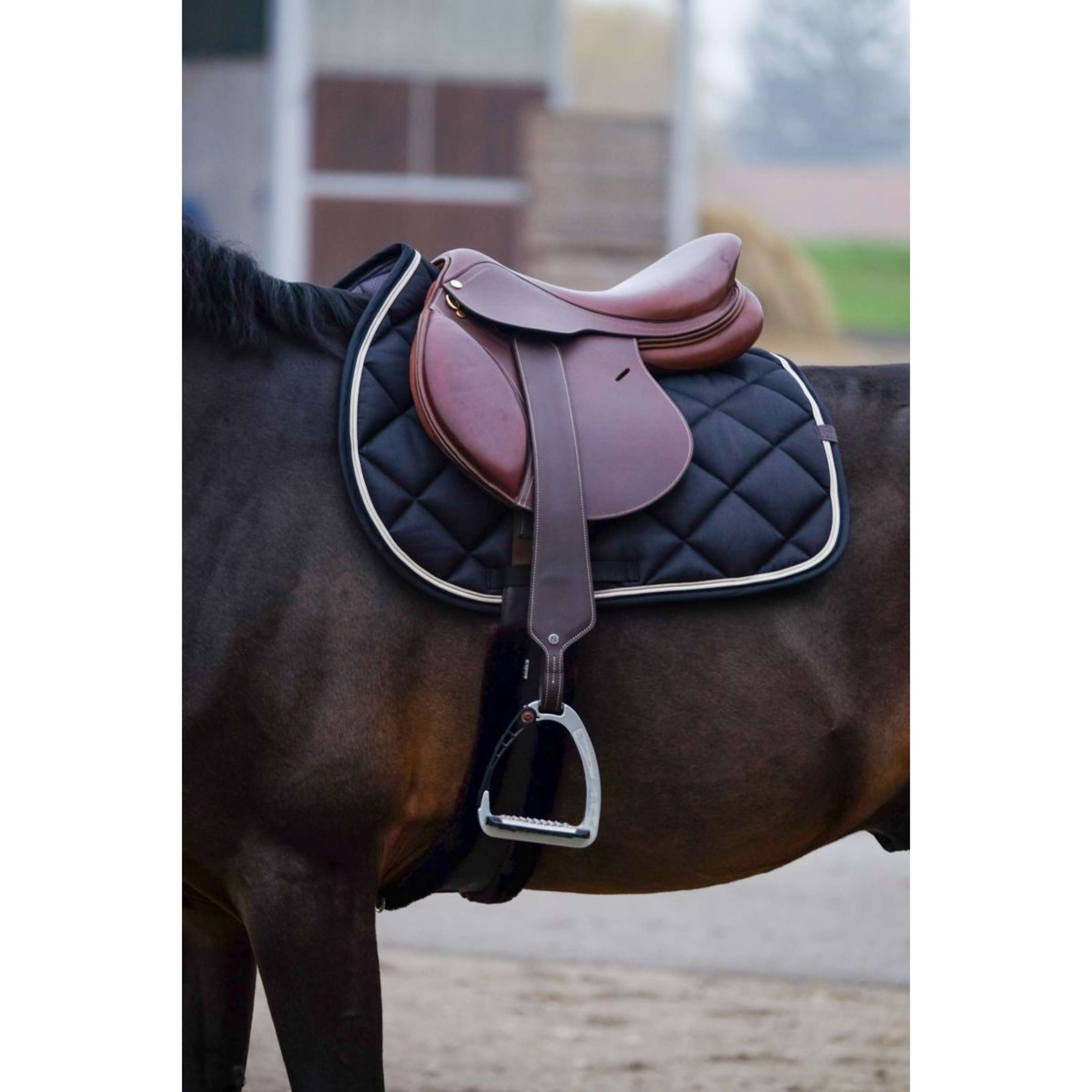 EQUITHÈME Schabracke Classic Springen Schwarz EQUITHÈME Schabracke Classic Springen Schwarz