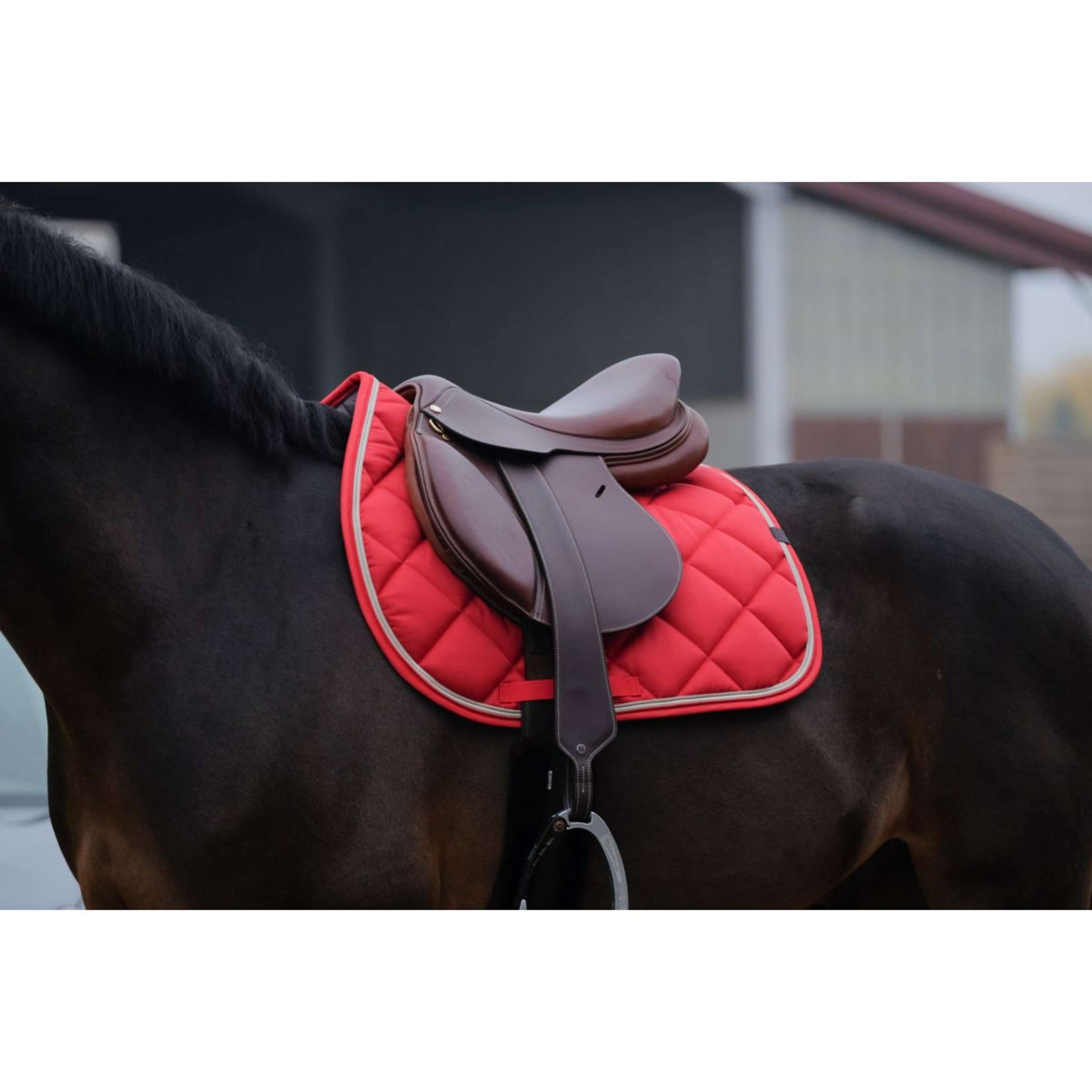 EQUITHÈME Schabracke Classic Springen Rot EQUITHÈME Schabracke Classic Springen Rot