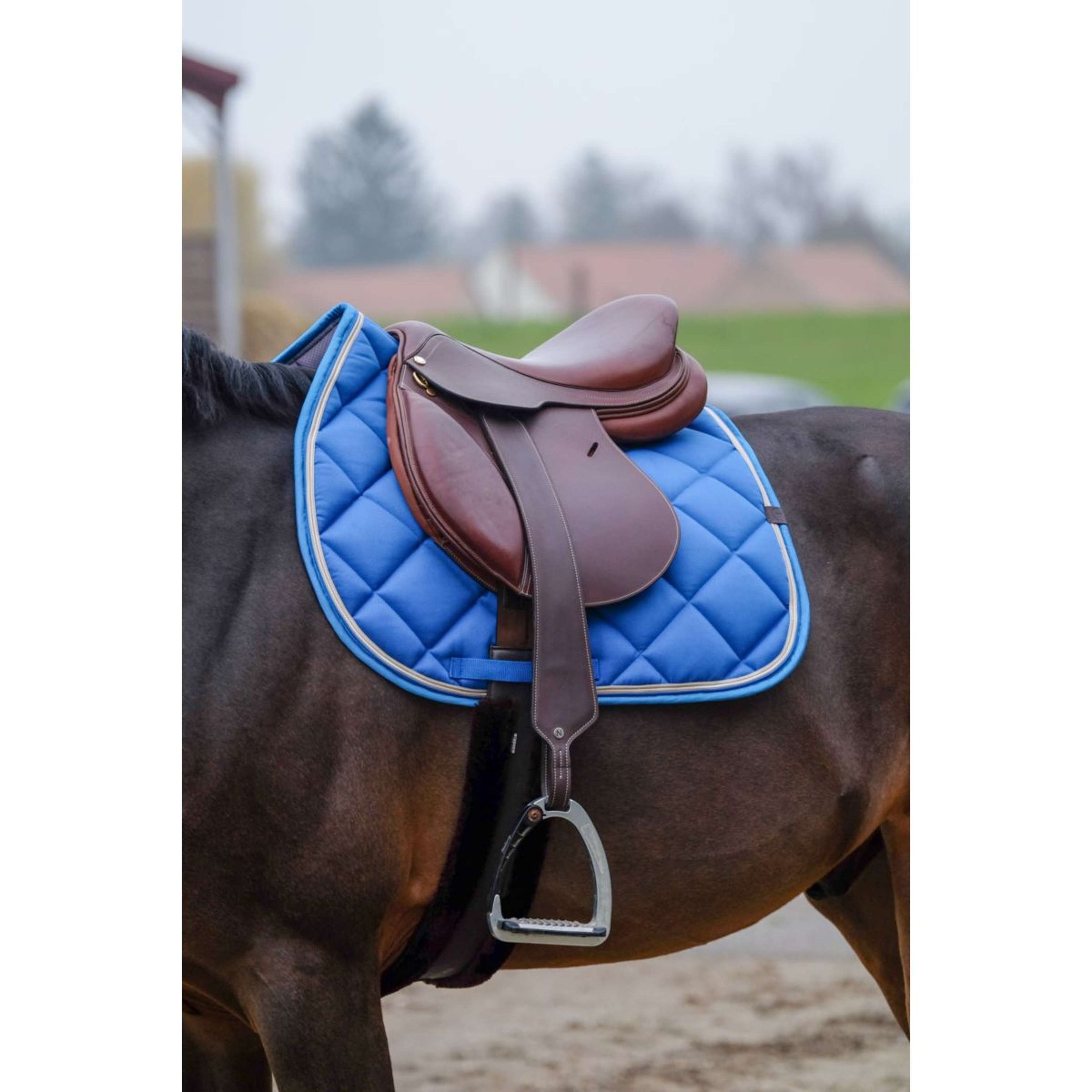 EQUITHÈME Schabracke Classic Springen Königsblau EQUITHÈME Schabracke Classic Springen Königsblau
