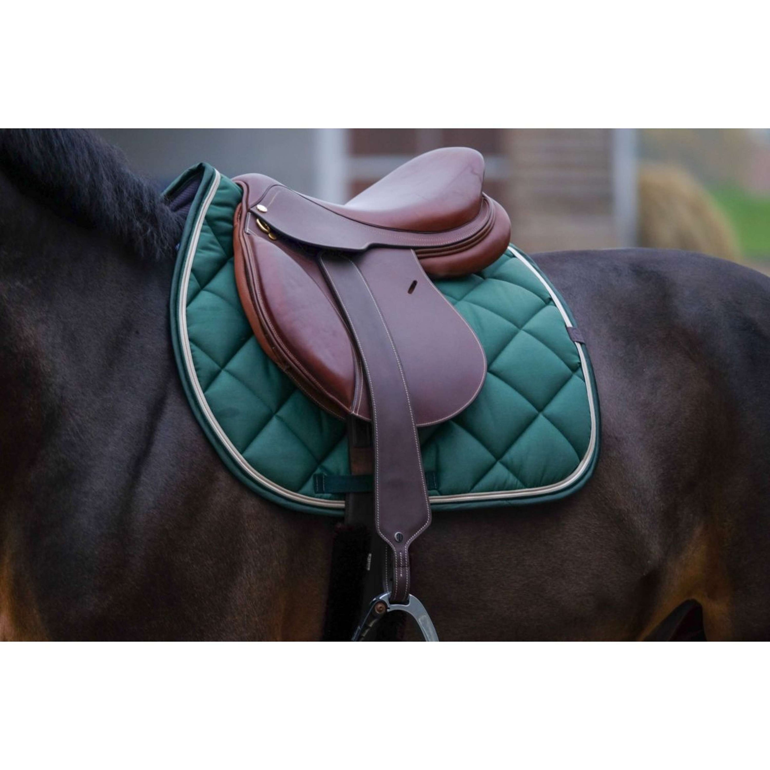 EQUITHÈME Schabracke Classic Springen Dunkelgrün EQUITHÈME Schabracke Classic Springen Dunkelgrün