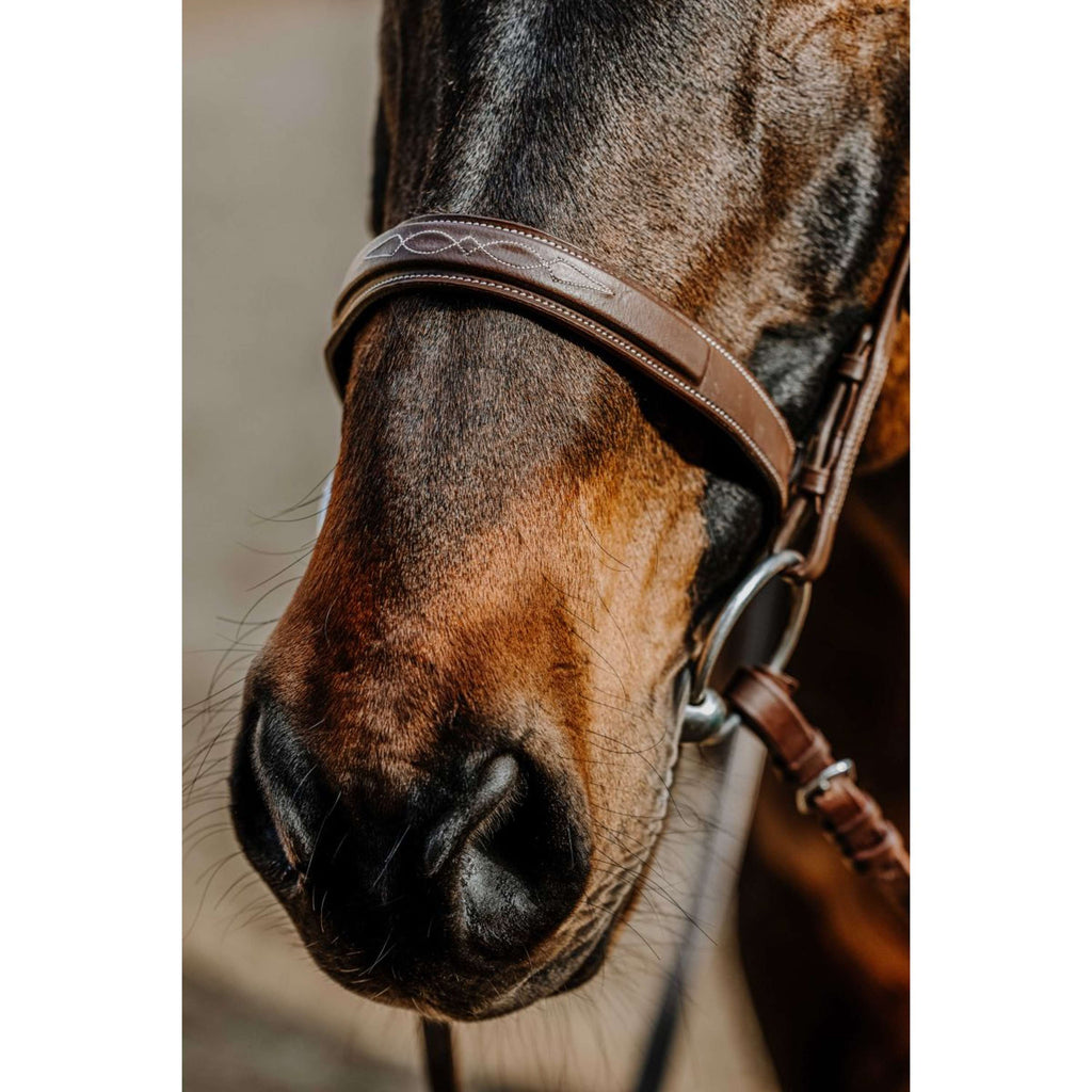 Norton Zaum Hunter Comfy Havanna