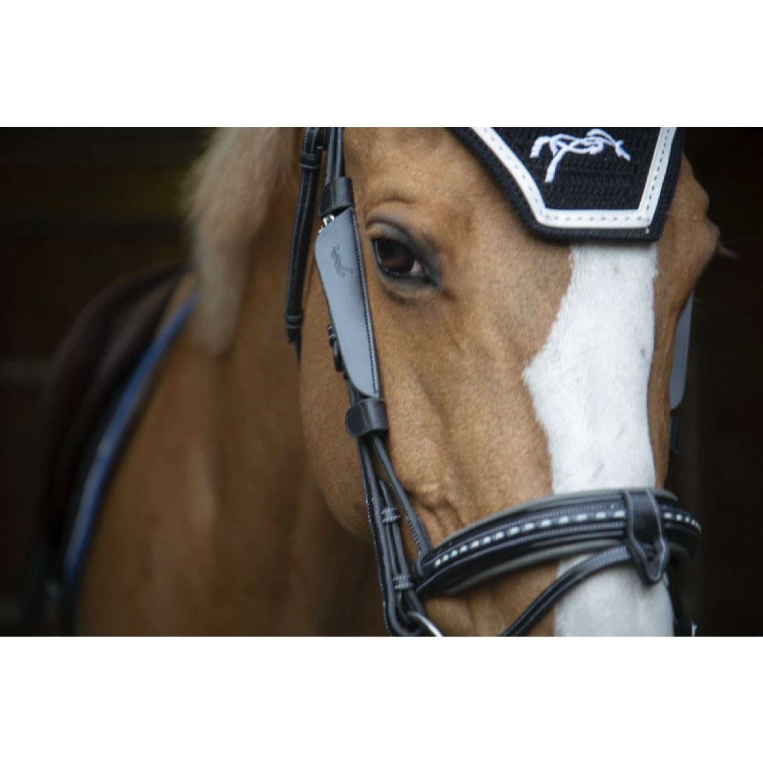 Pénélope Blinker Leder Schwarz Pénélope Blinker Leder Schwarz