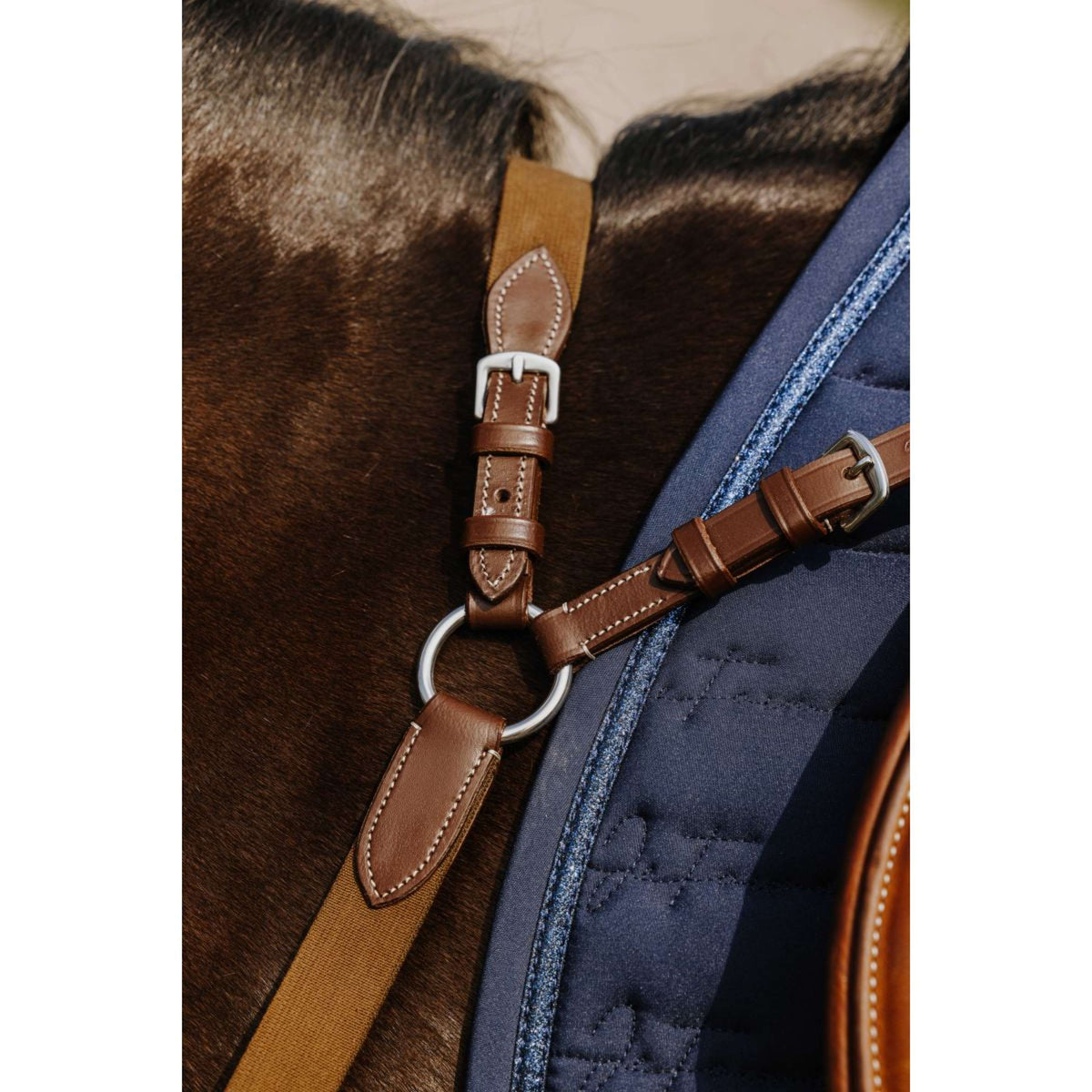 Norton Brustgeschirr 5 Points Havanna