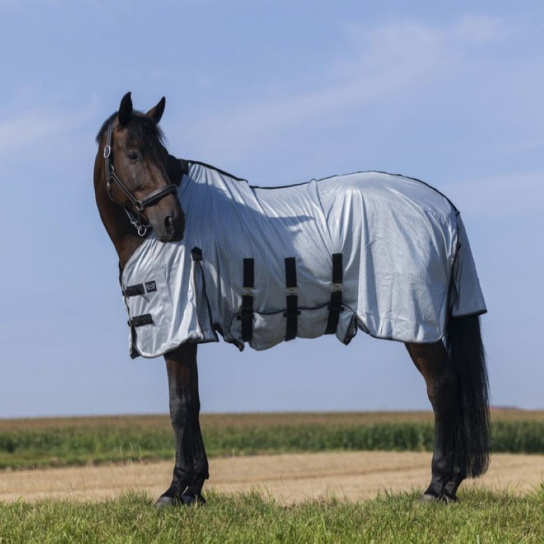 Riding World Fliegendecke Belly Mesh Grau