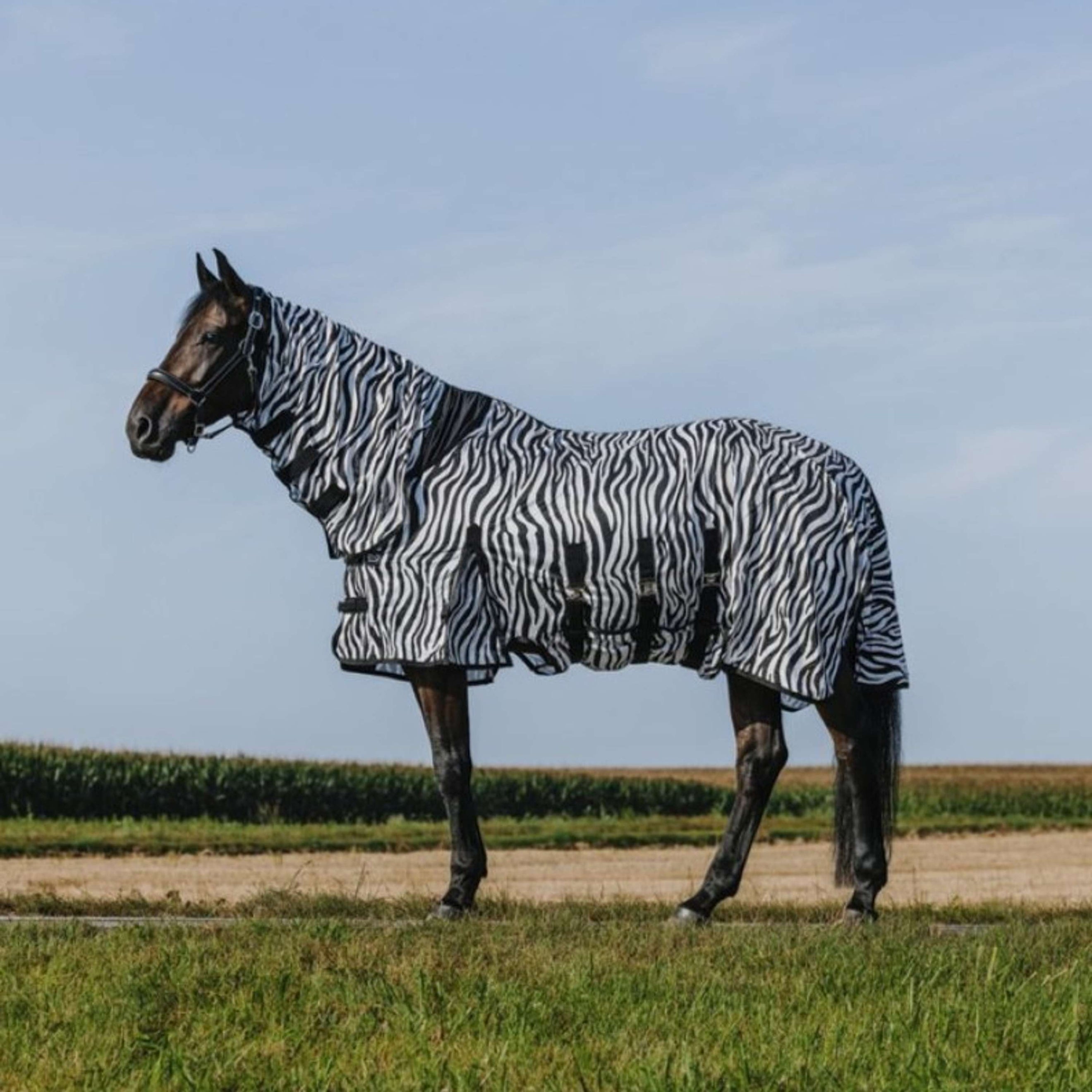 Riding World Fliegendecke Belly Mesh Combo Zebra