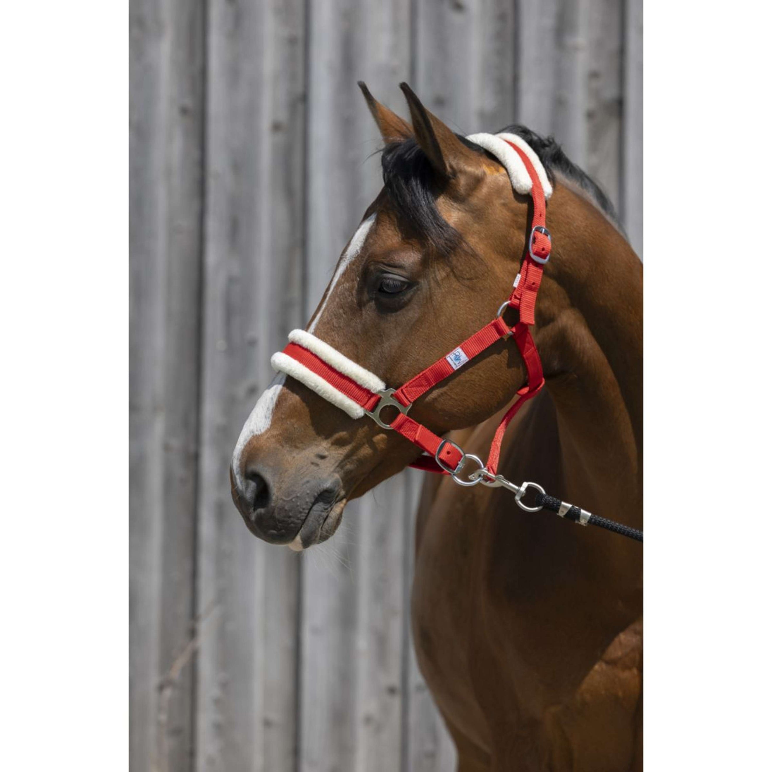 Riding World Halfter Synthetic Fur Rot Riding World Halfter Synthetic Fur Rot