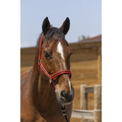 Norton Halfter Satine Rot/Schwarz