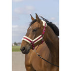 EQUITHÈME Halfter Mouton Nylon Weinrot/weiß